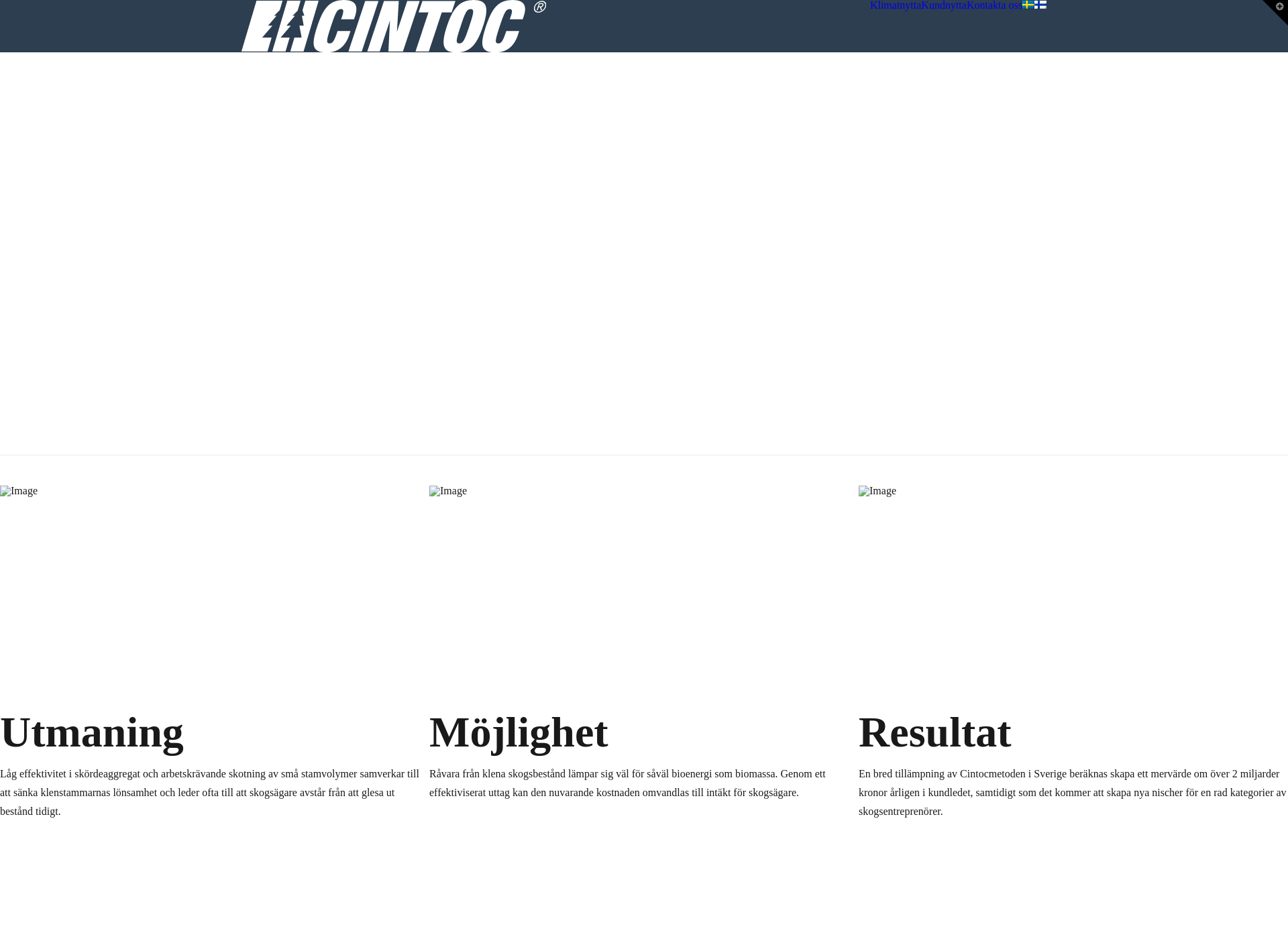 Screenshot for cintoc.fi