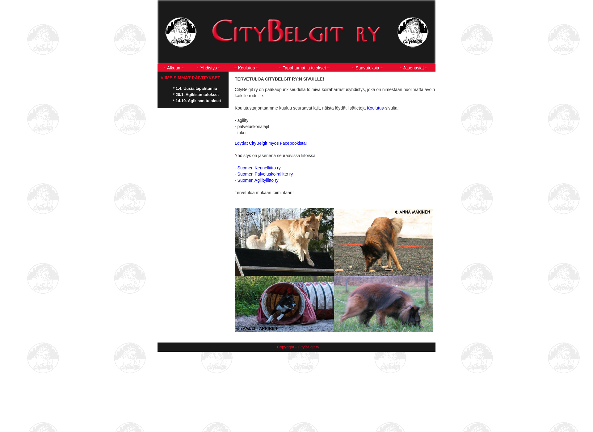 Screenshot for citybelgit.fi
