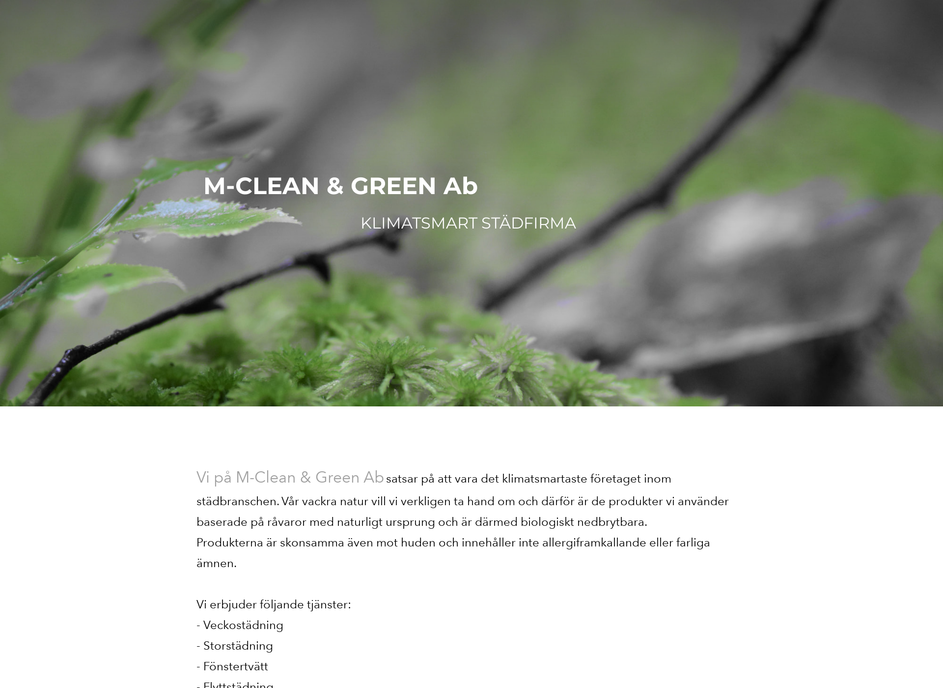 Skärmdump för cleangreen.fi