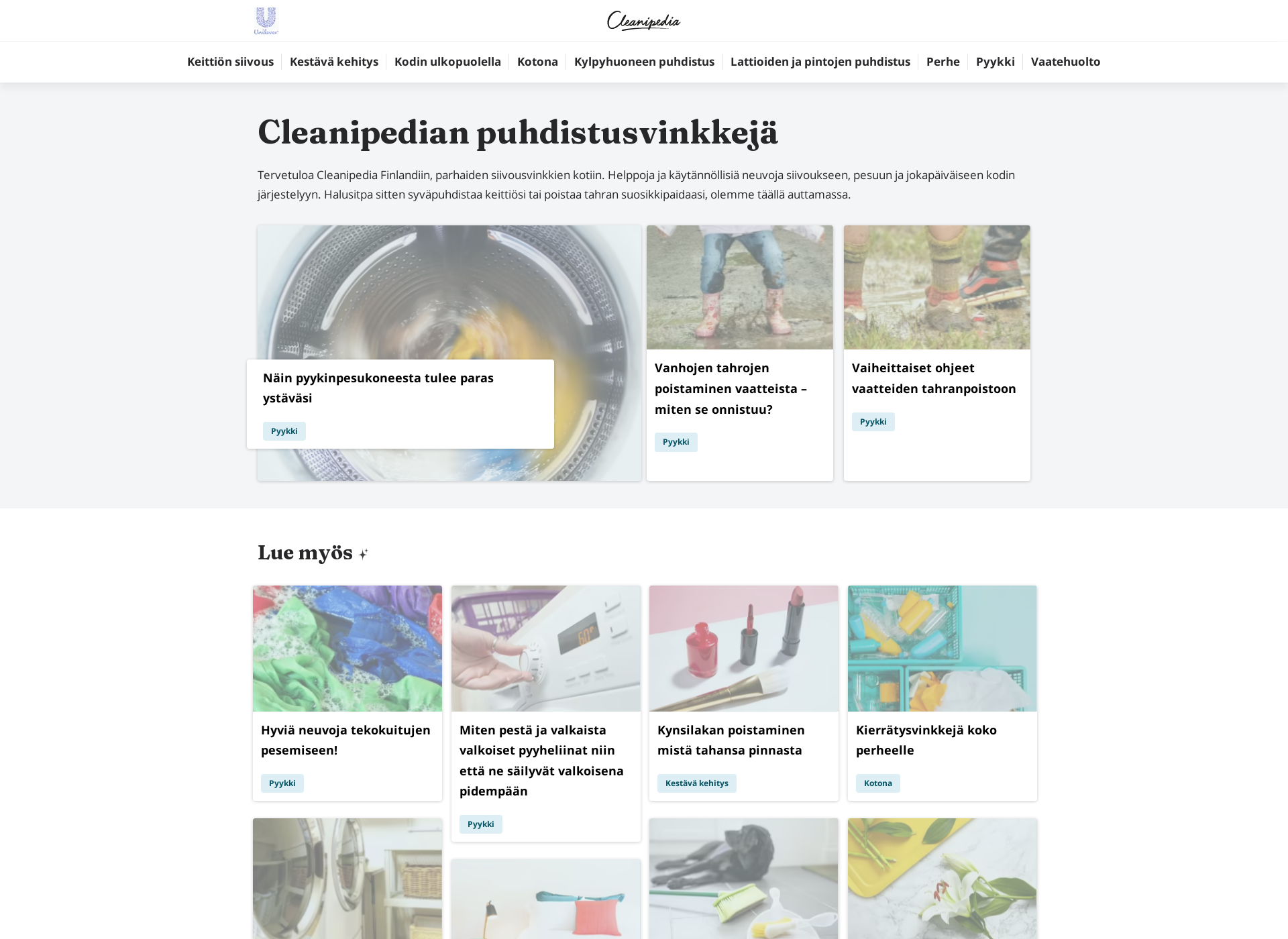 Screenshot for cleanipedia.fi