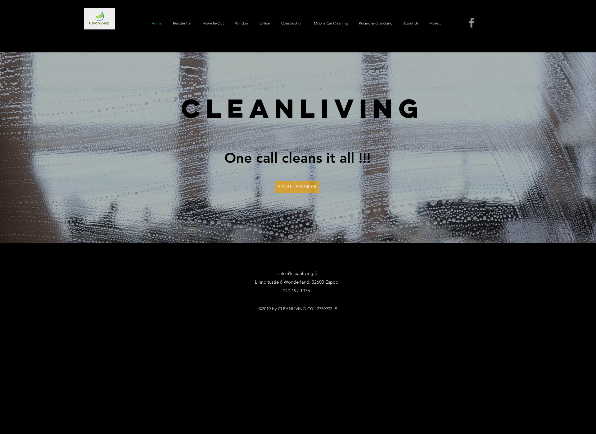Screenshot for cleanliving.fi