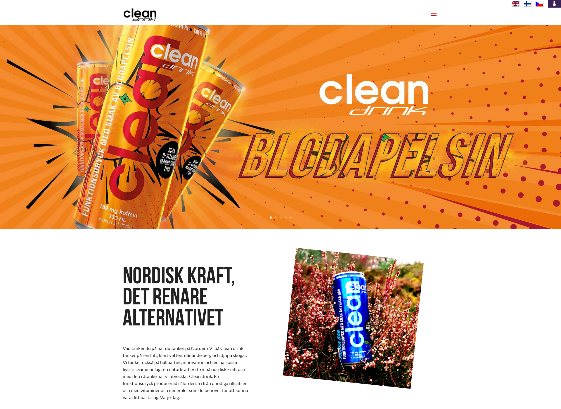 Skärmdump för cleanrescued.fi
