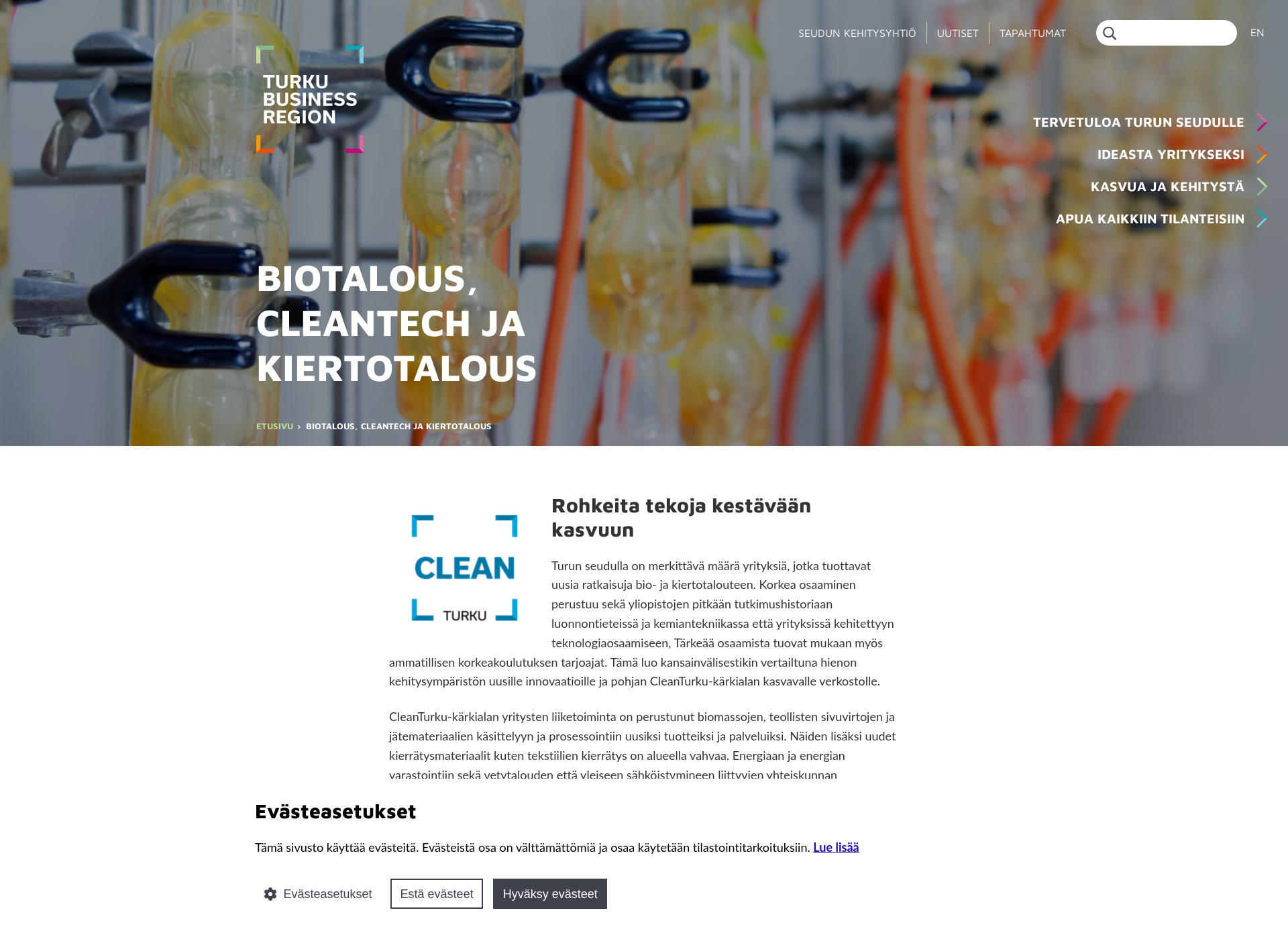 Skärmdump för cleanturku.fi