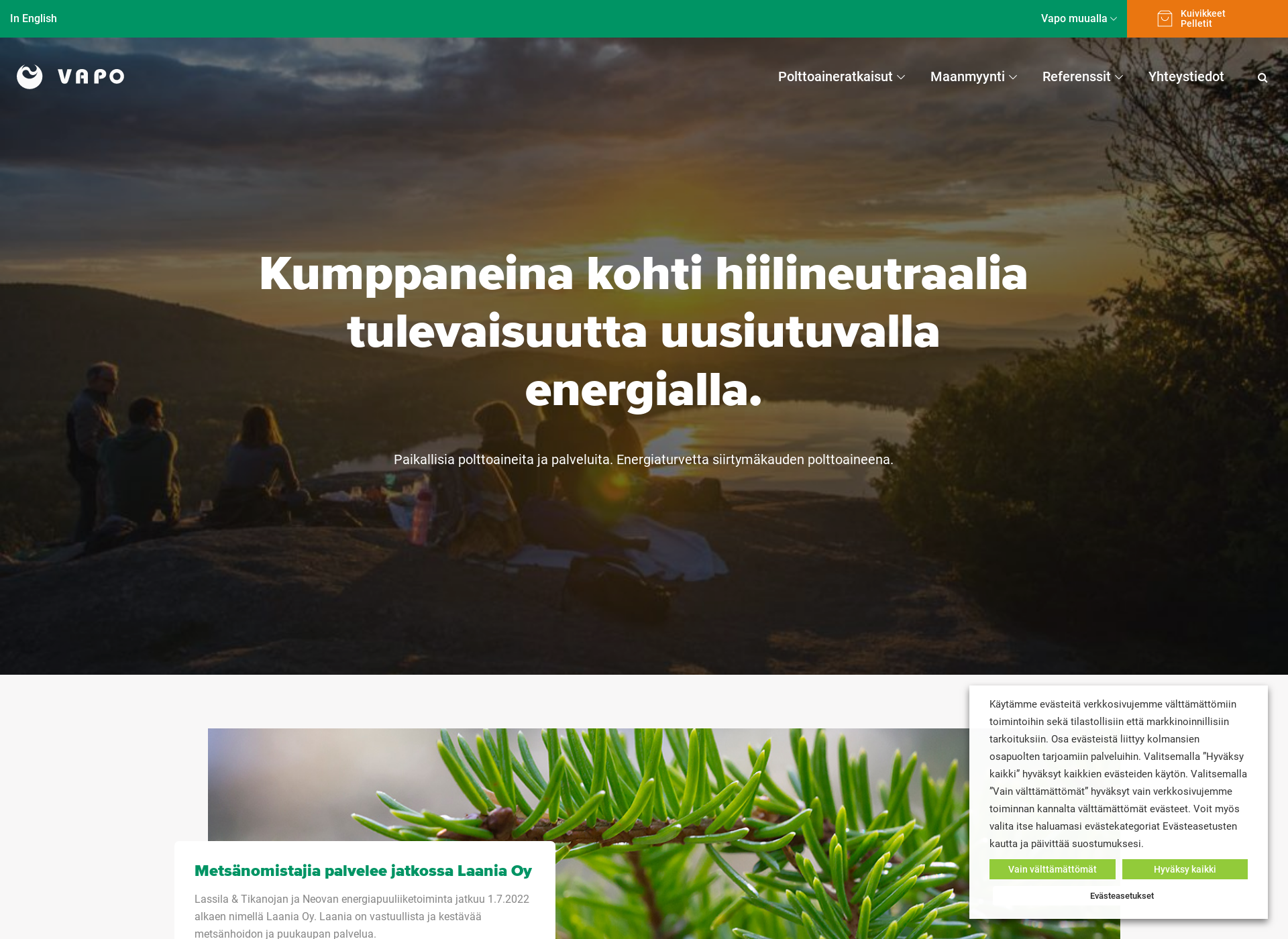 Skärmdump för cleanwaters.fi