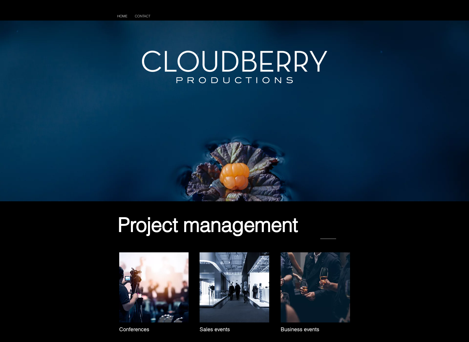 Skärmdump för cloudberryproductions.fi