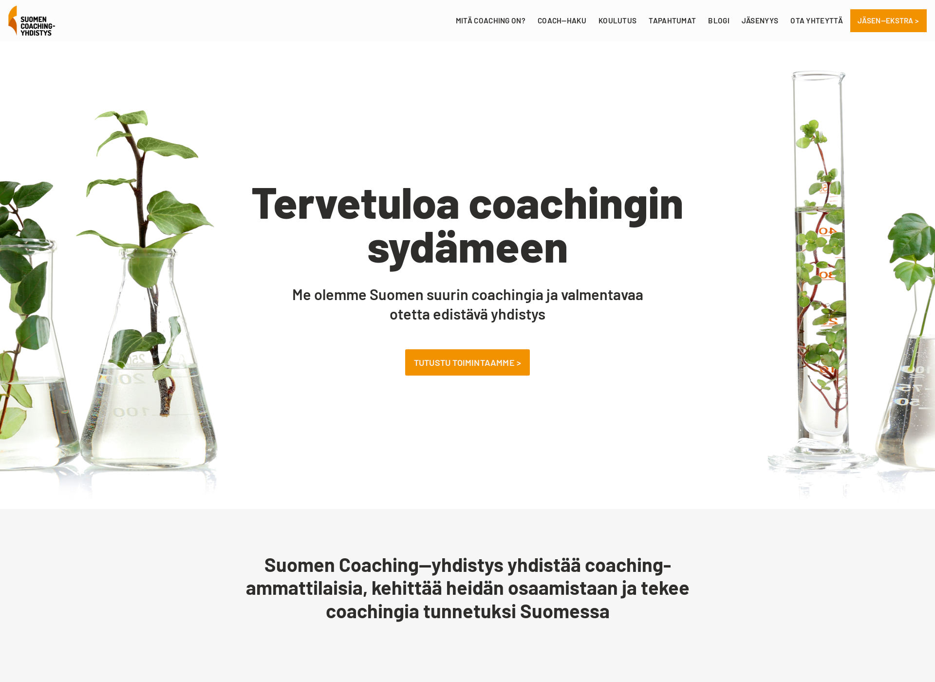 Skärmdump för coaching-yhdistys.fi