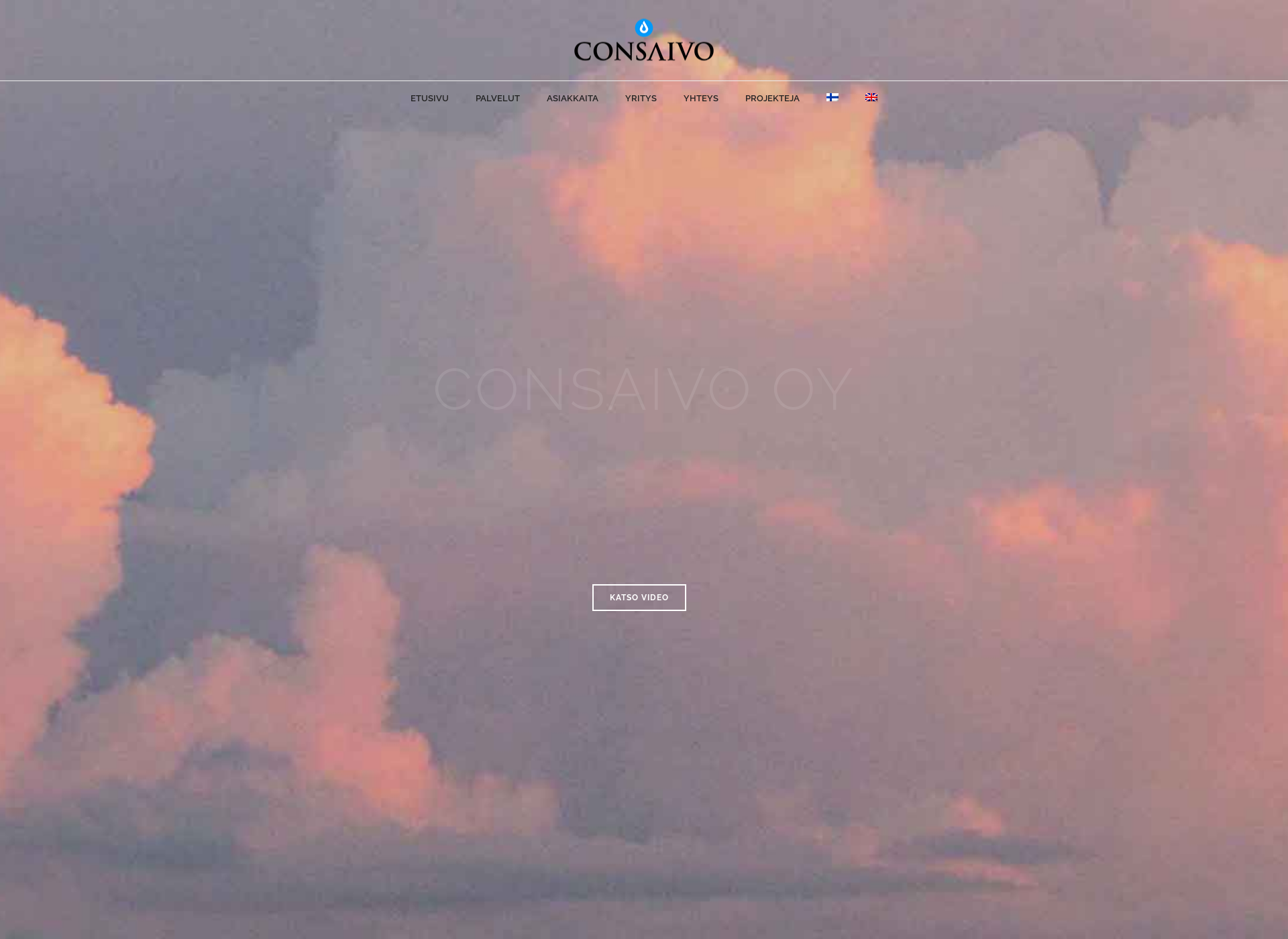 Screenshot for consaivo.fi