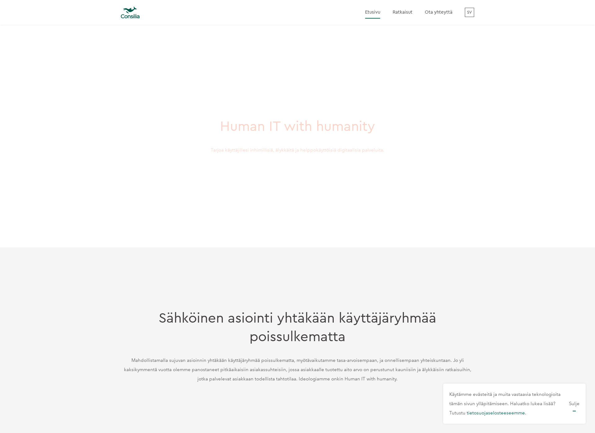 Skärmdump för consilia.fi