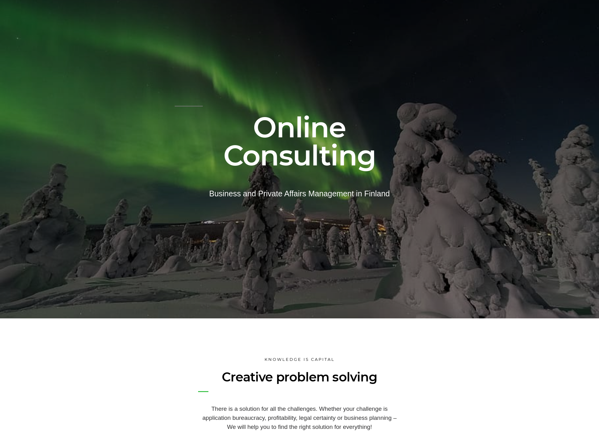 Skärmdump för consultingonline.fi