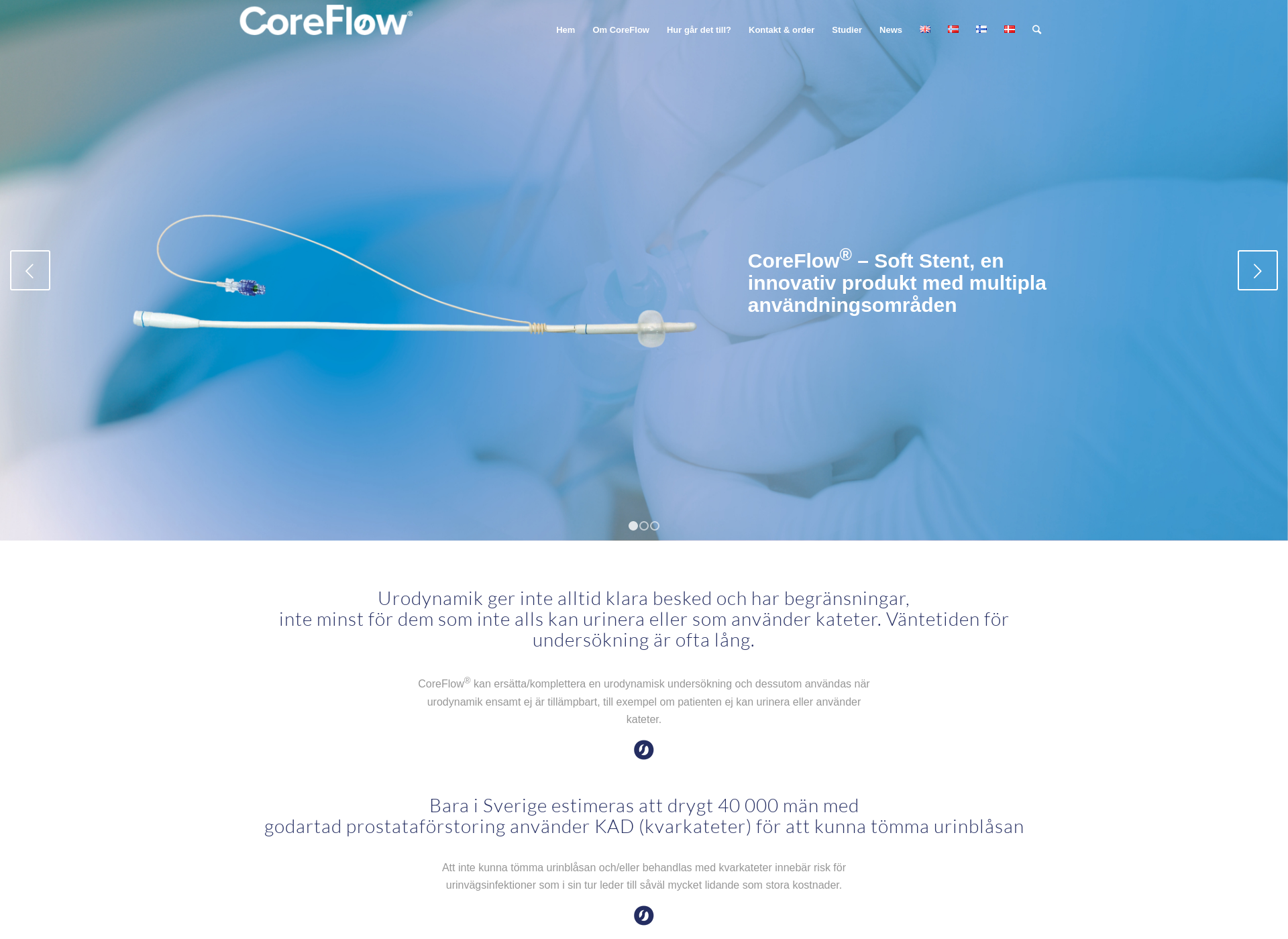 Skärmdump för coreflow.fi