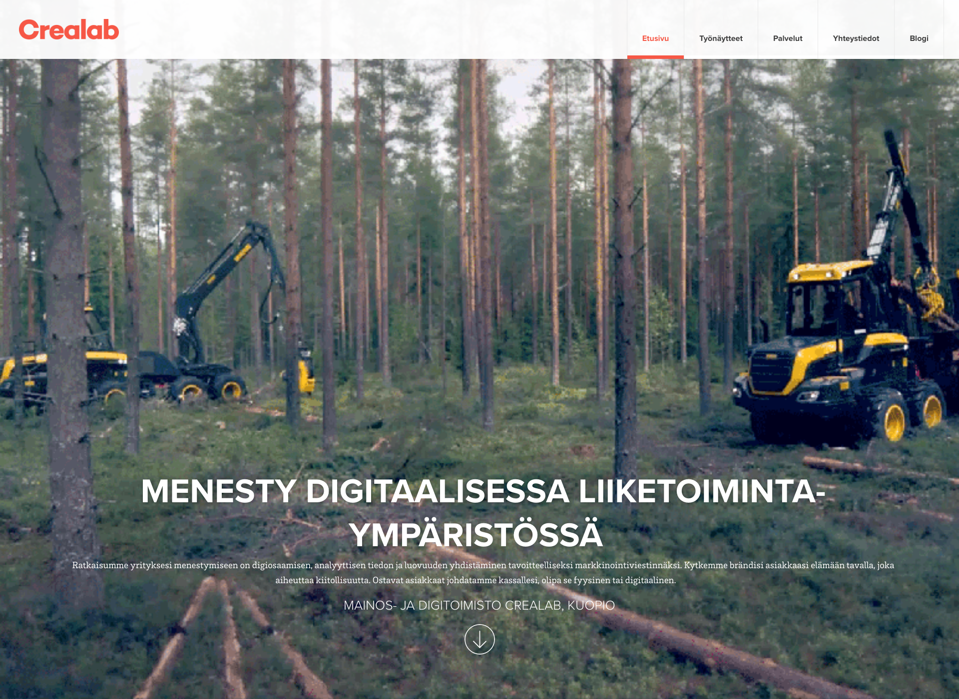 Screenshot for crealab.fi