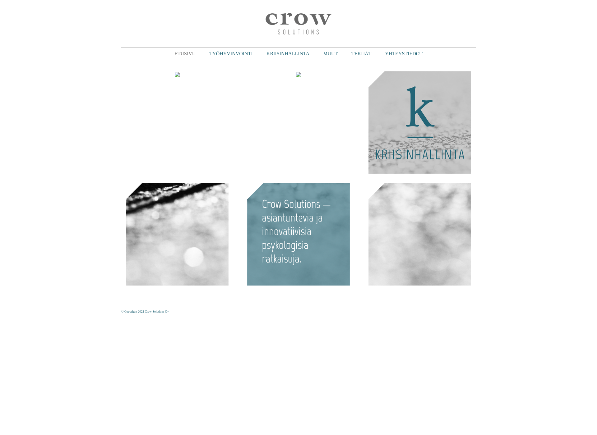 Skärmdump för crowsolutions.fi