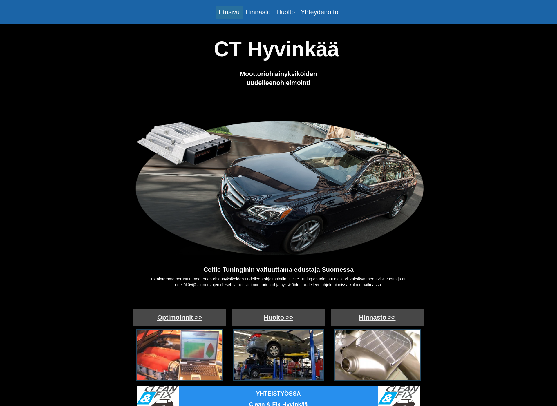 Screenshot for cthyvinkää.fi