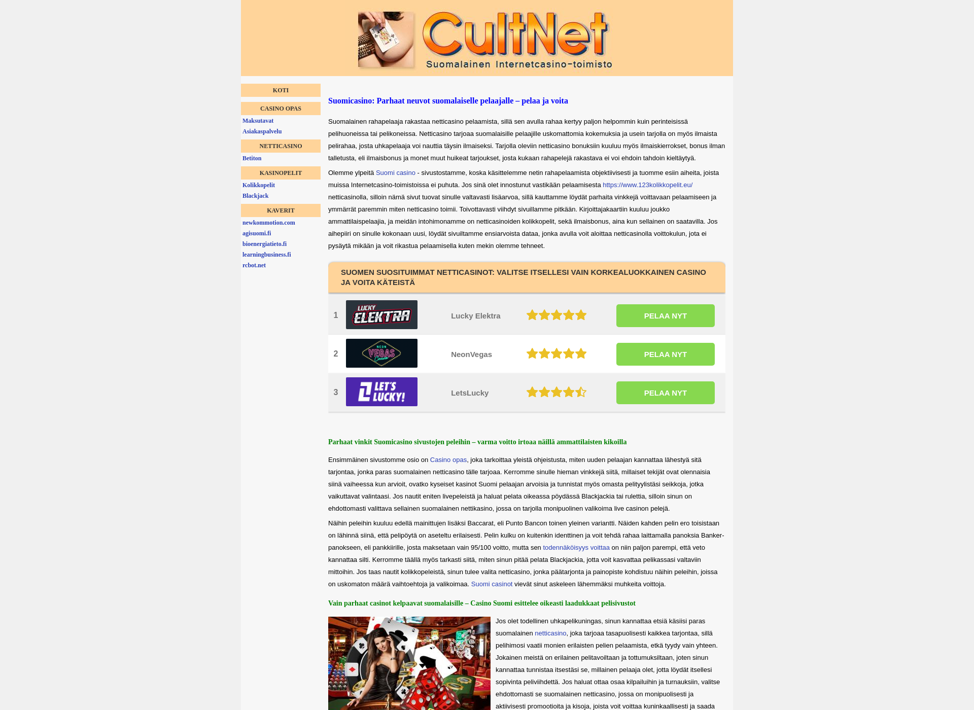 Screenshot for cultnet.fi