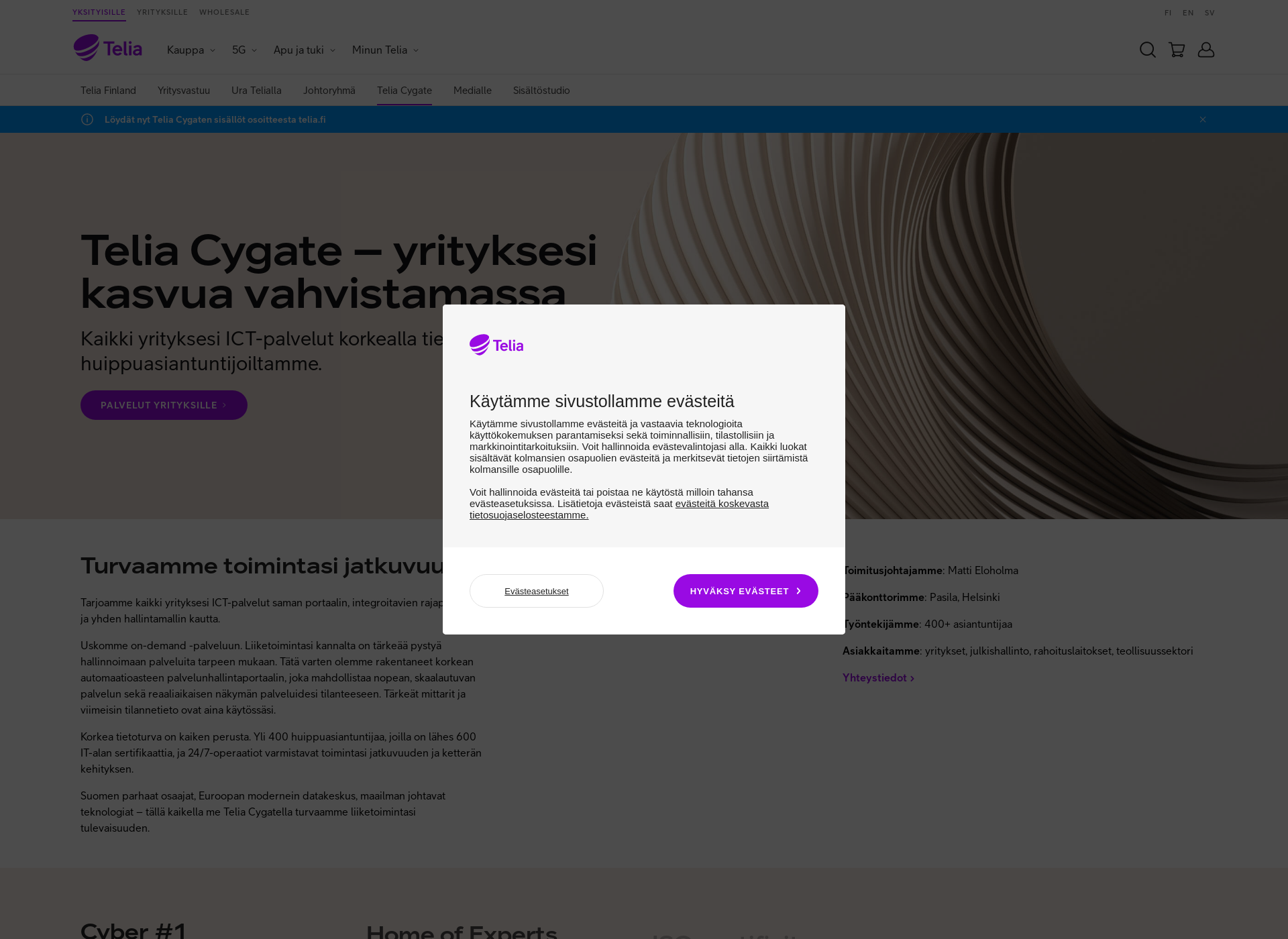Screenshot for cygate.fi