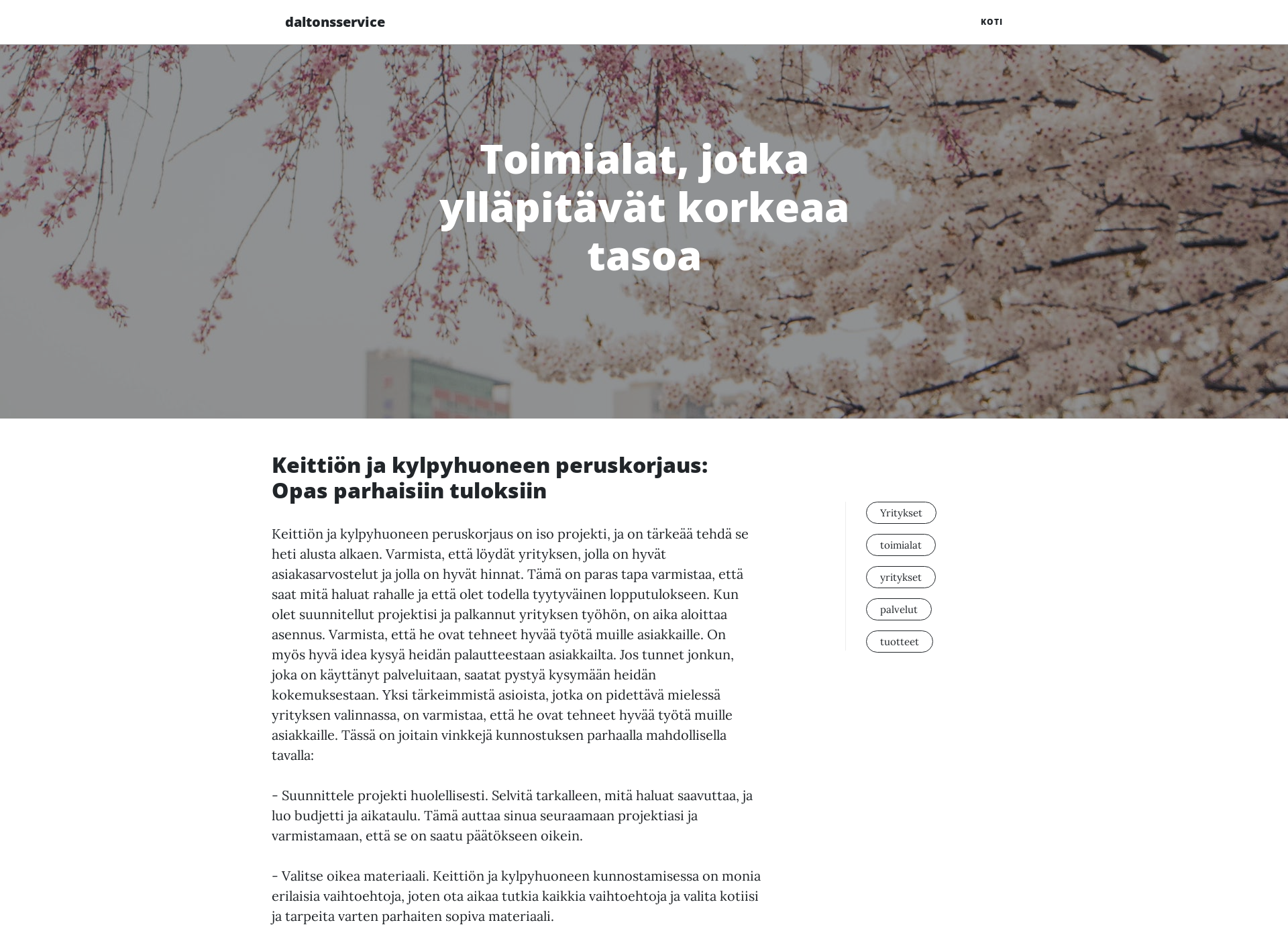 Skärmdump för daltonsservice.fi