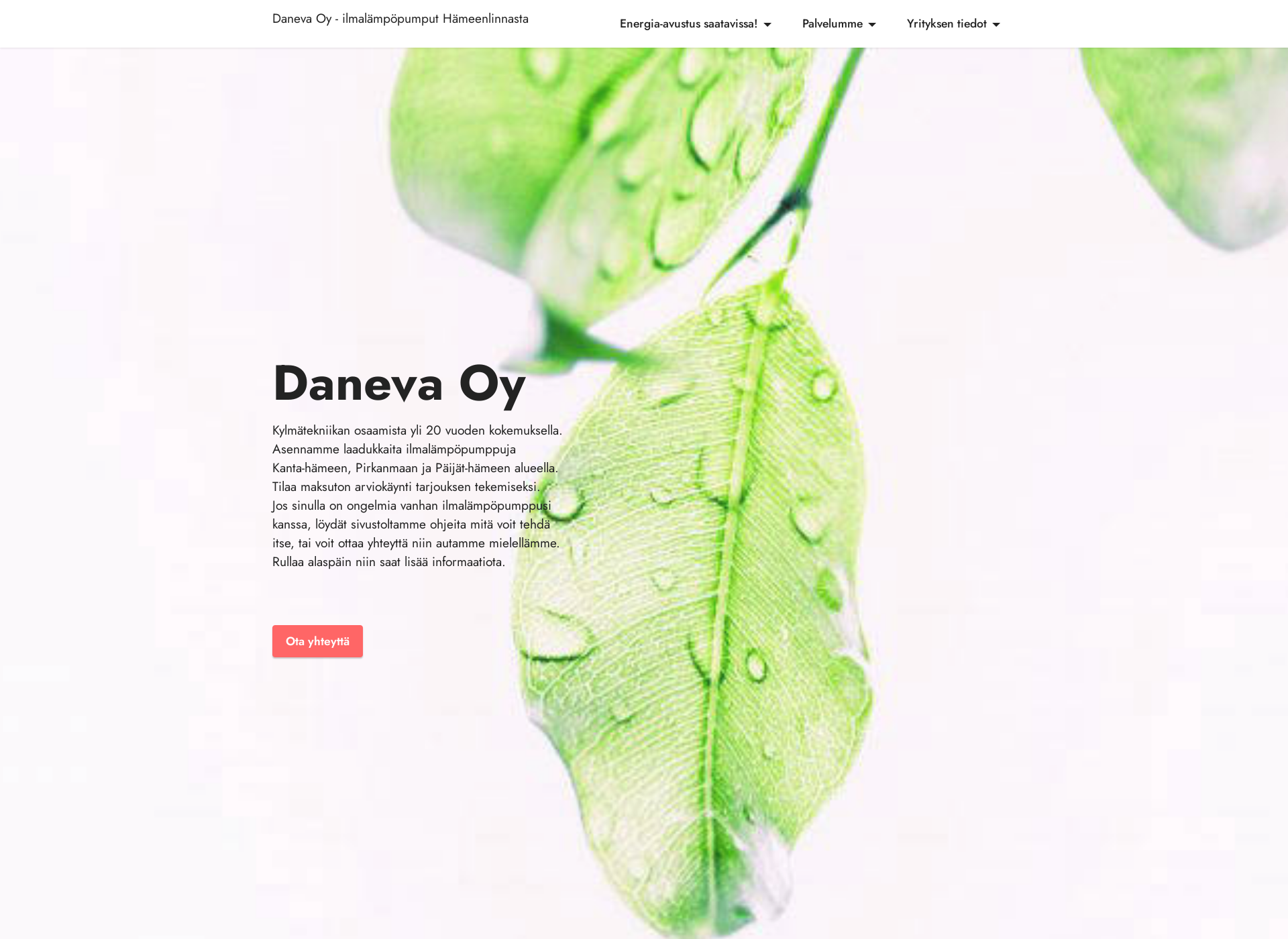 Screenshot for daneva.fi