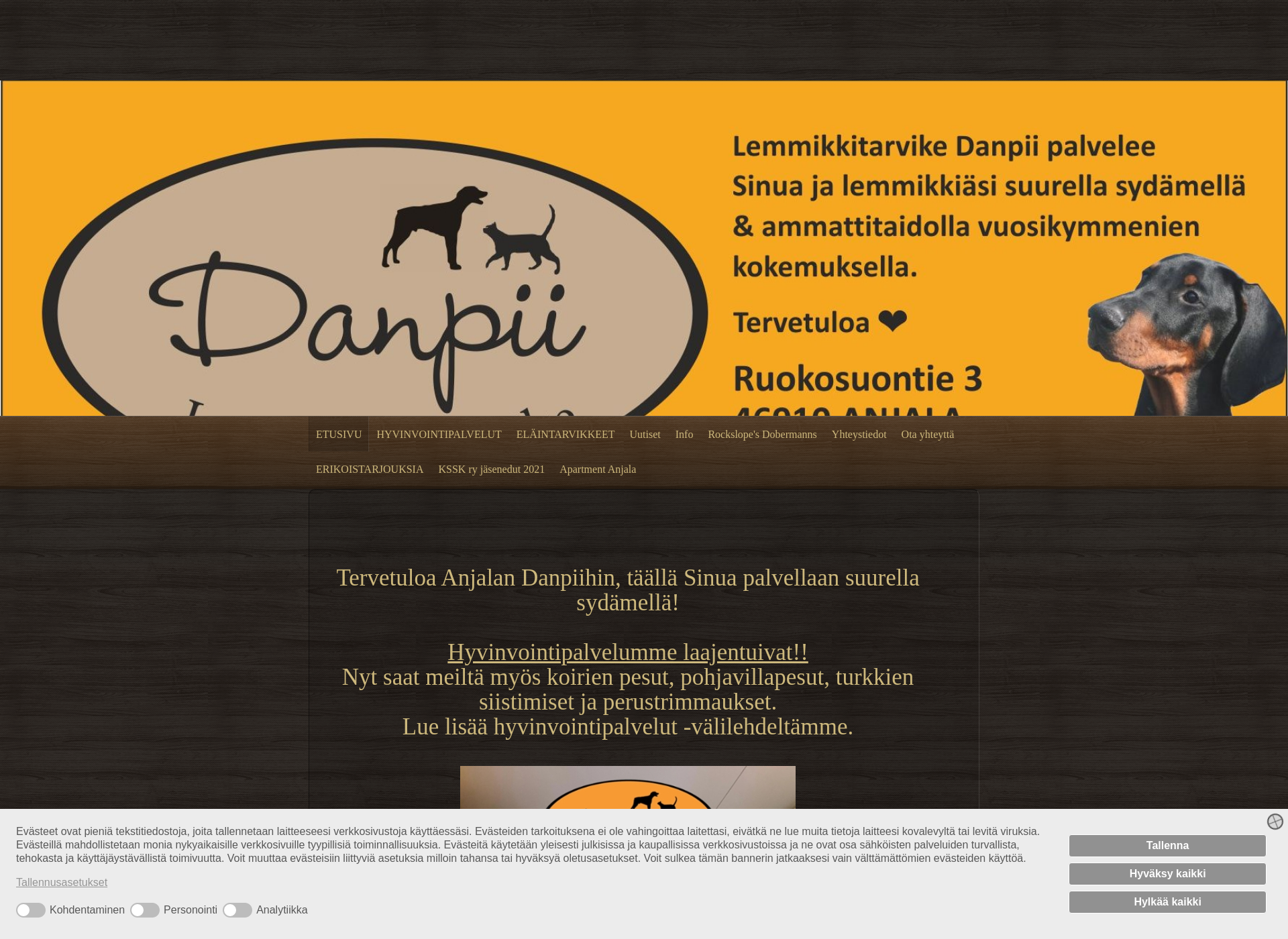 Skärmdump för danpii.fi