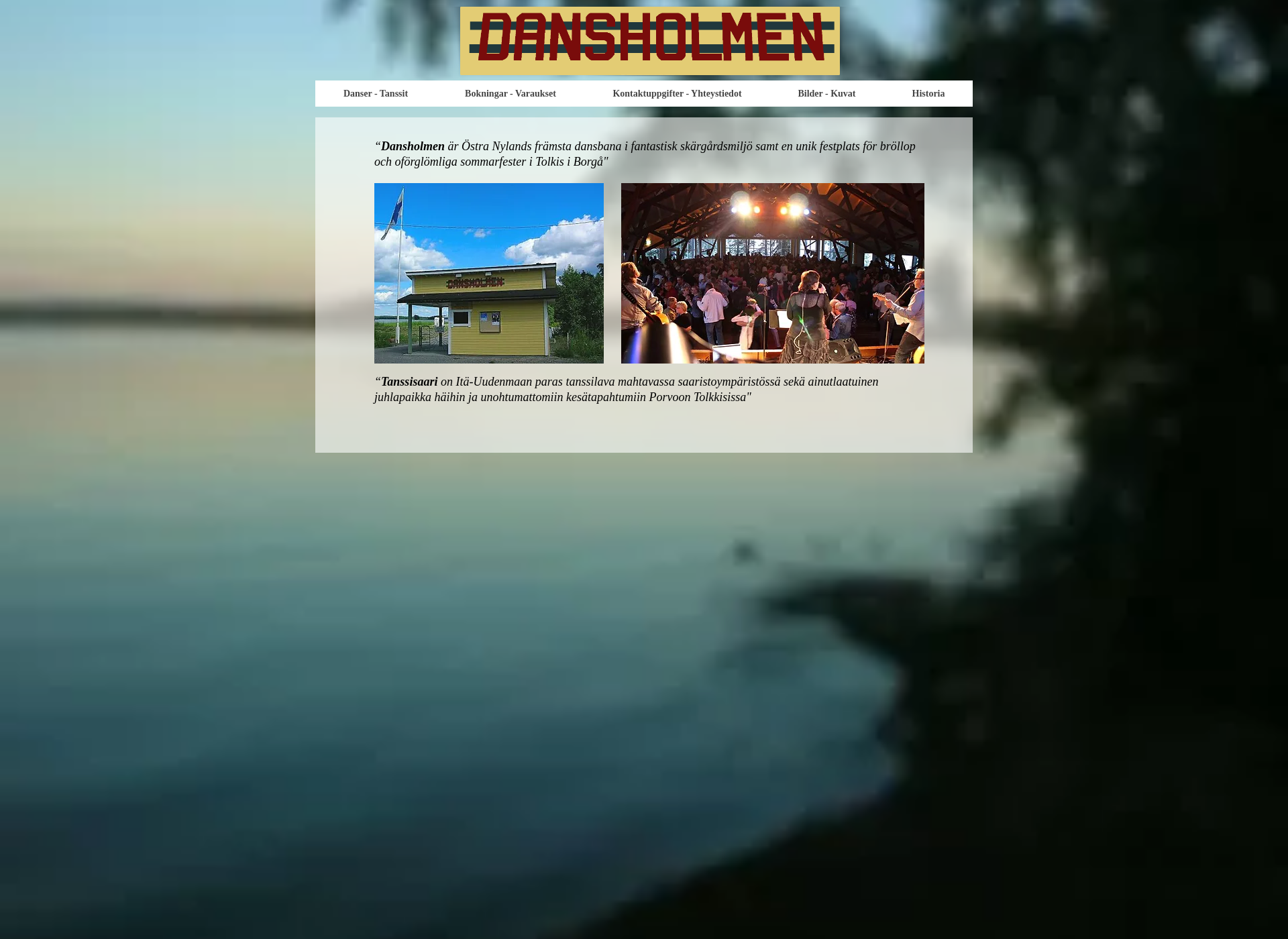 Screenshot for dansholmen.fi