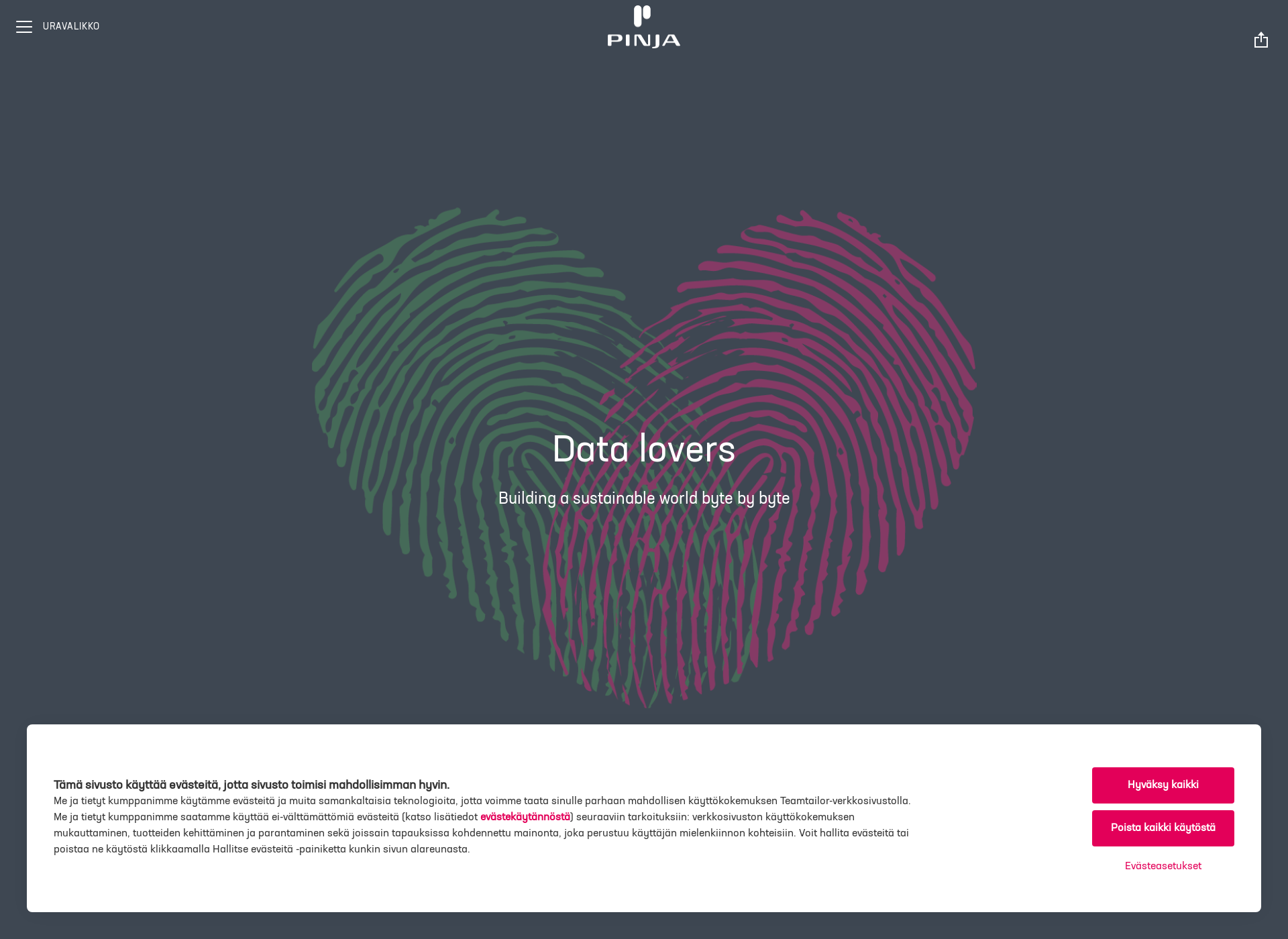 Screenshot for datalovers.fi