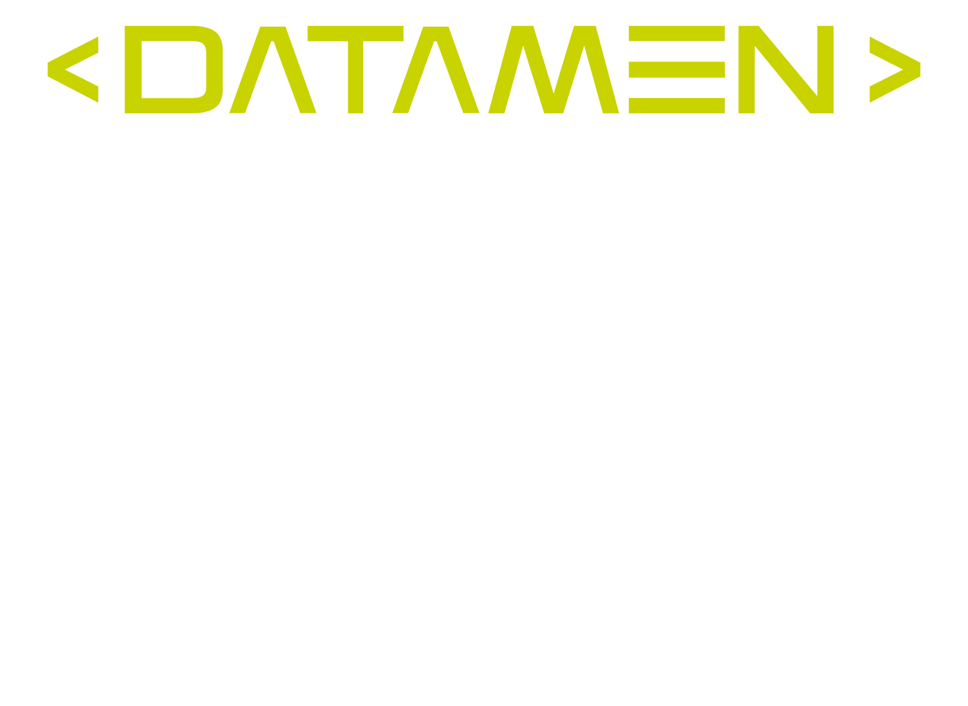 Screenshot for datamen.fi