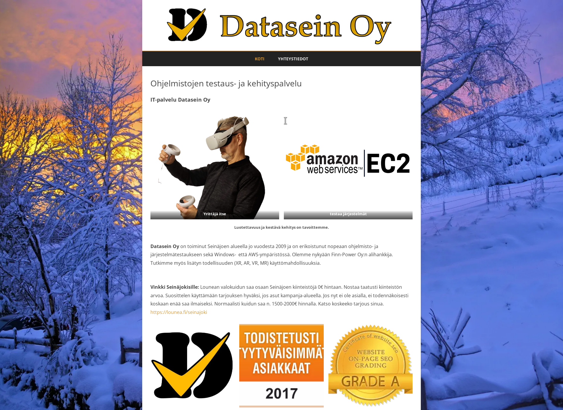 Screenshot for datasein.fi