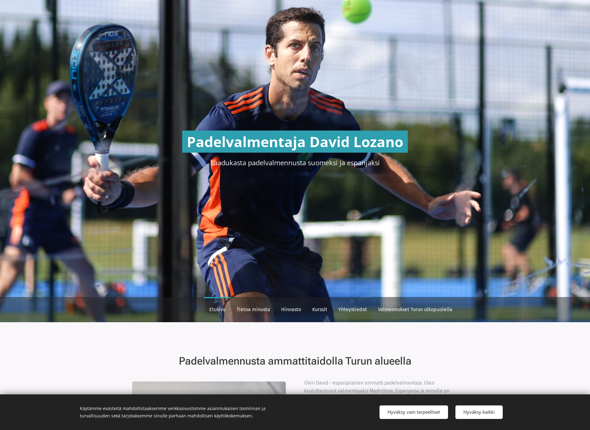 Screenshot for davidlozano.fi