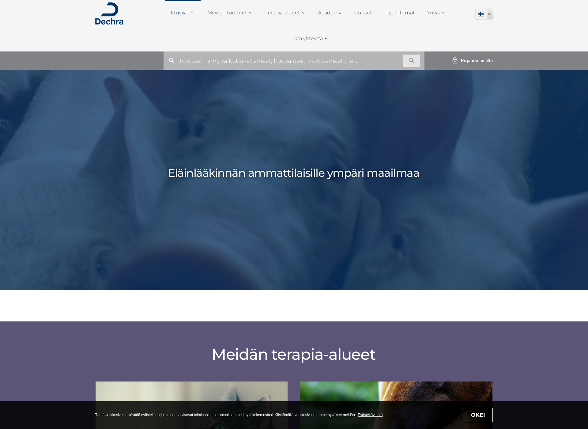 Screenshot for dechra.fi