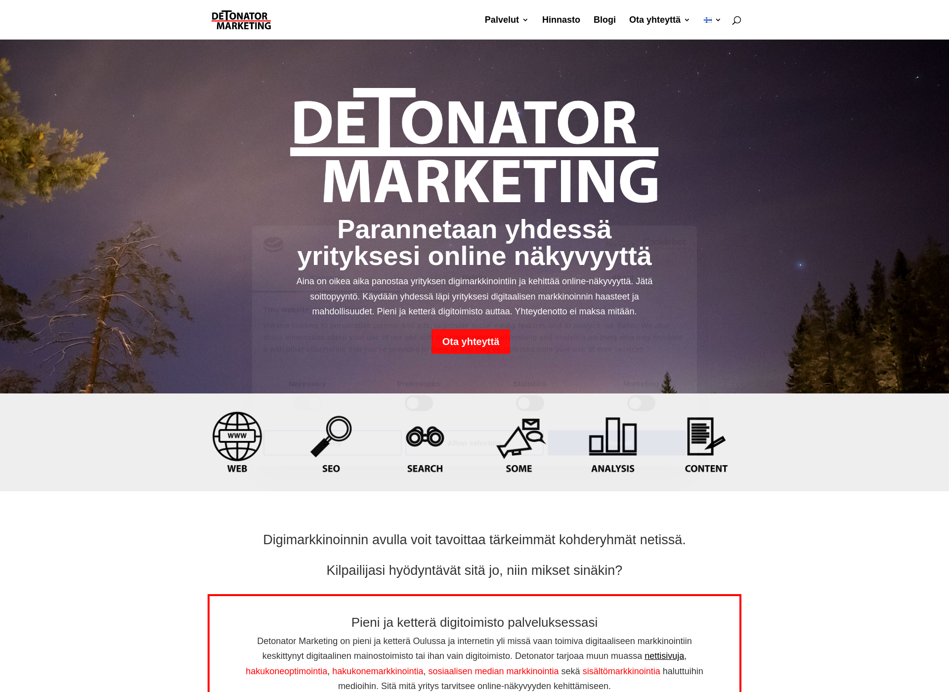 Screenshot for detonatormarketing.fi