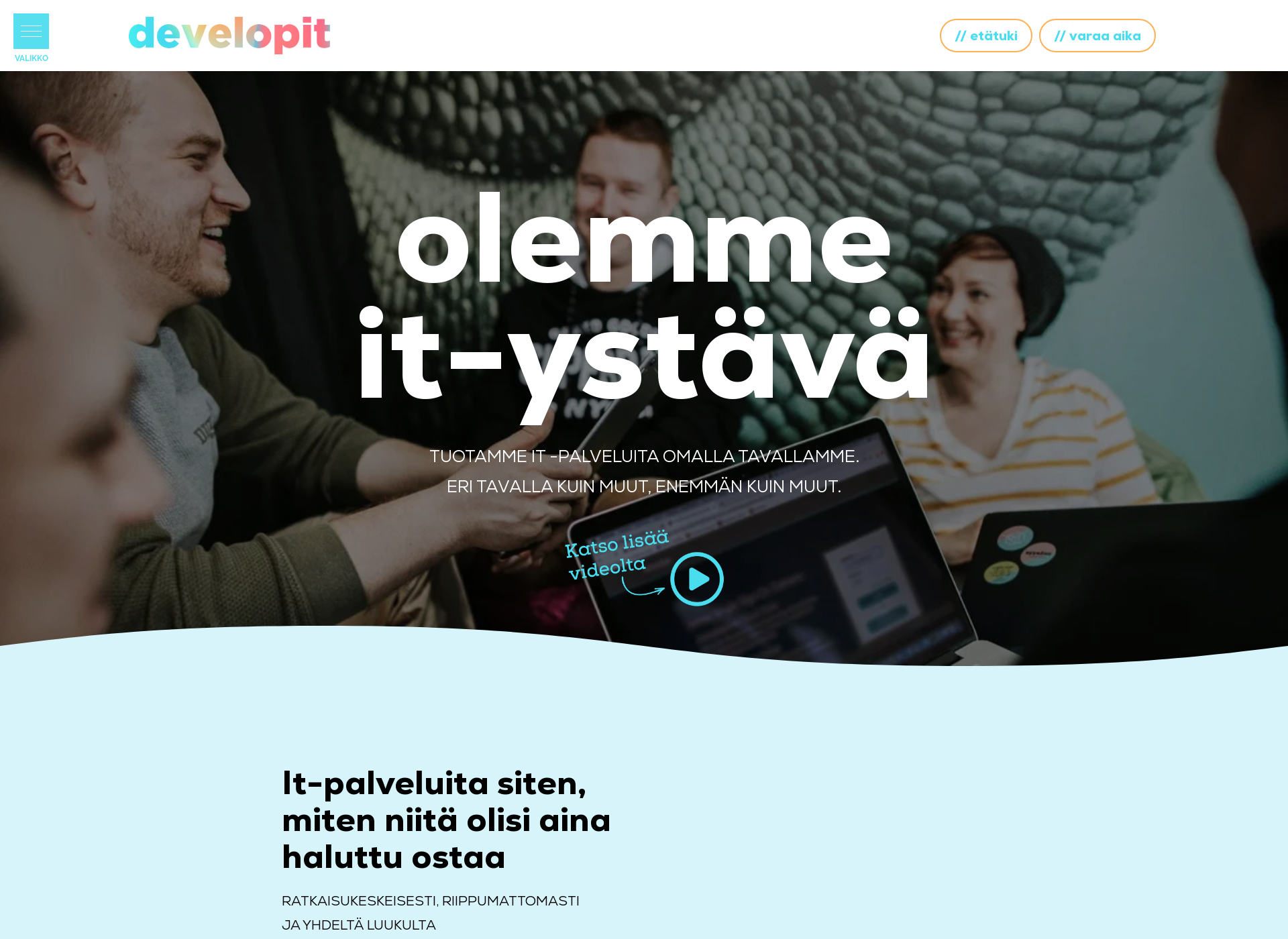 Skärmdump för developit.fi