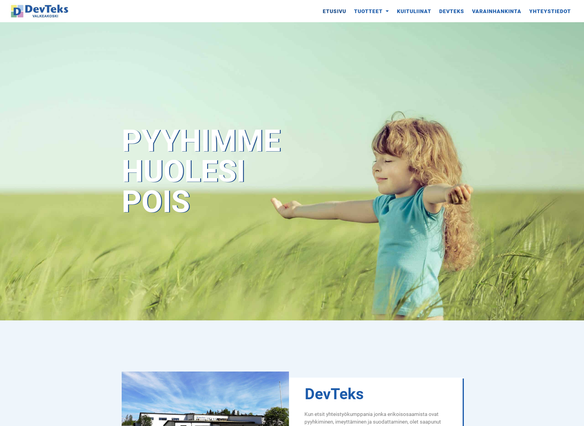 Screenshot for devteks.fi