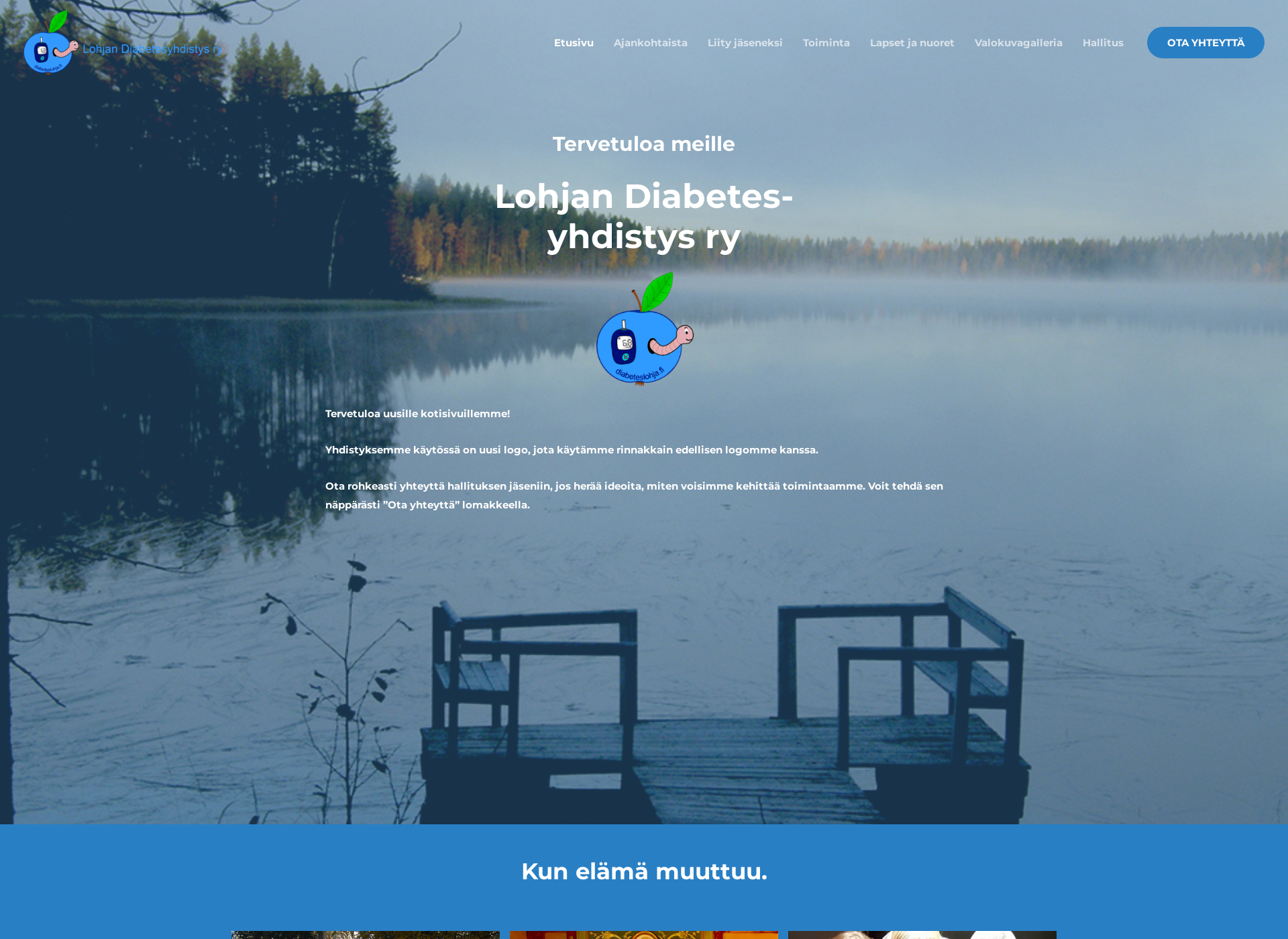 Screenshot for diabeteslohja.fi