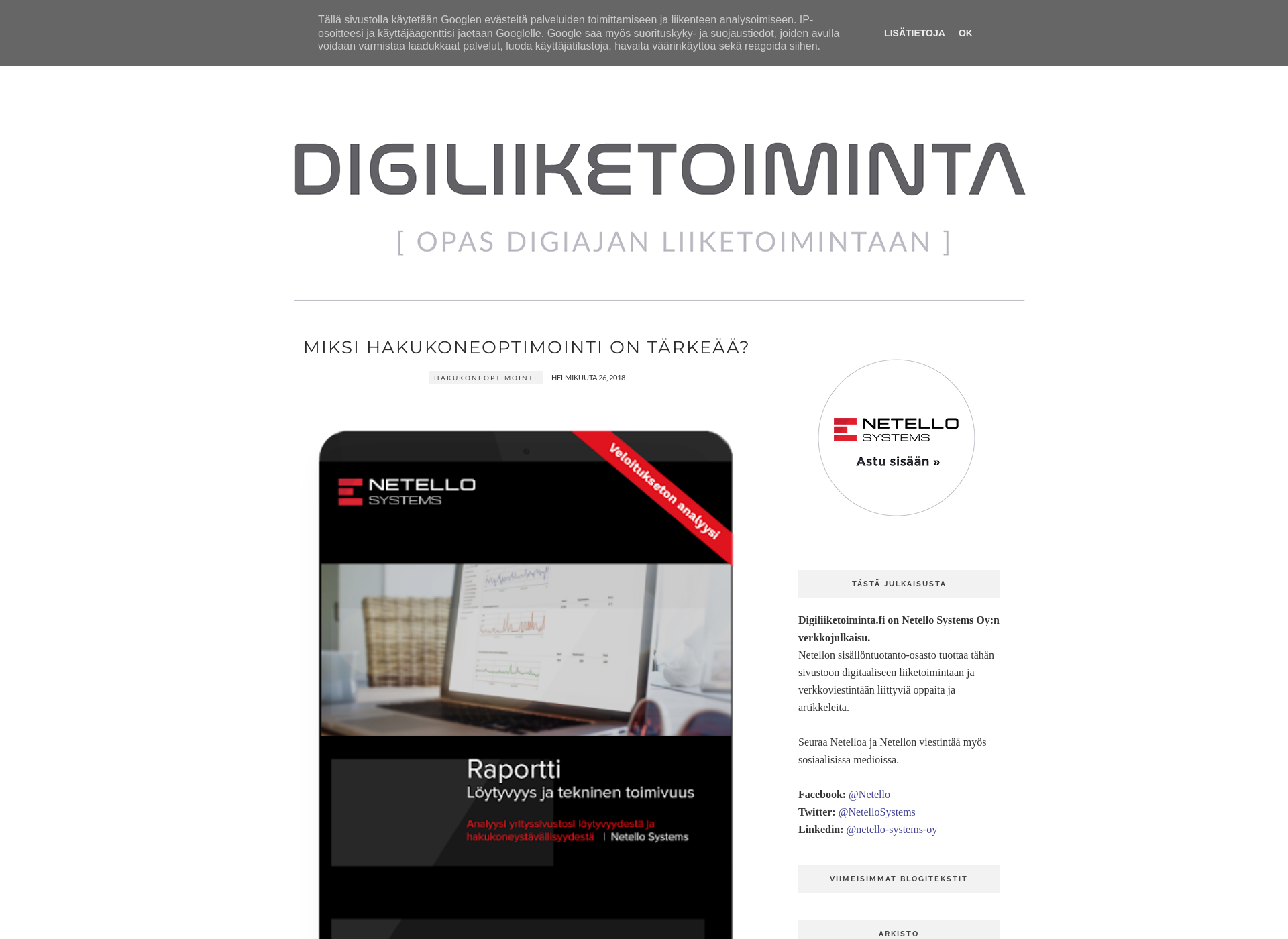 Screenshot for digiliiketoiminta.fi