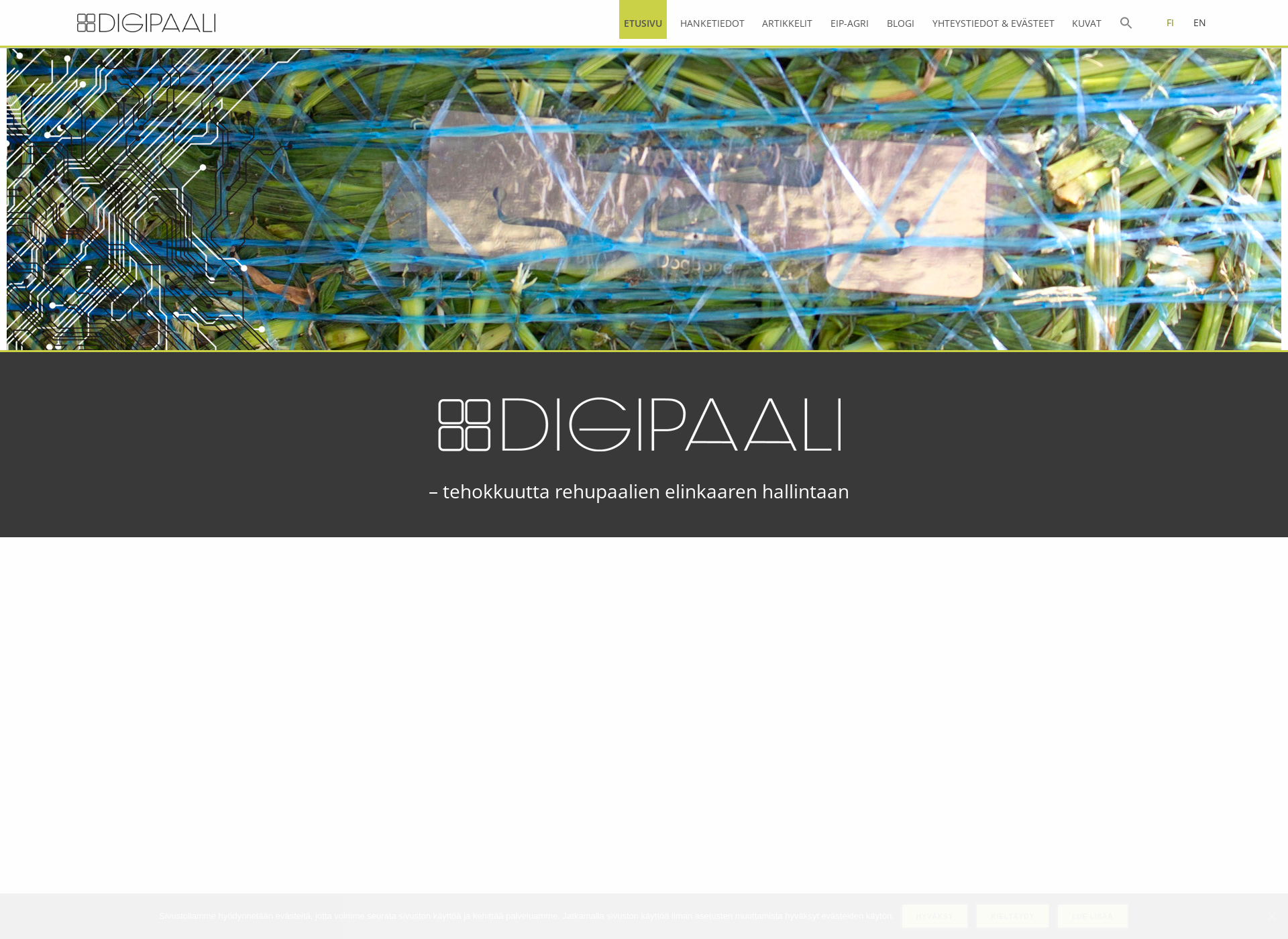 Skärmdump för digipaali.fi