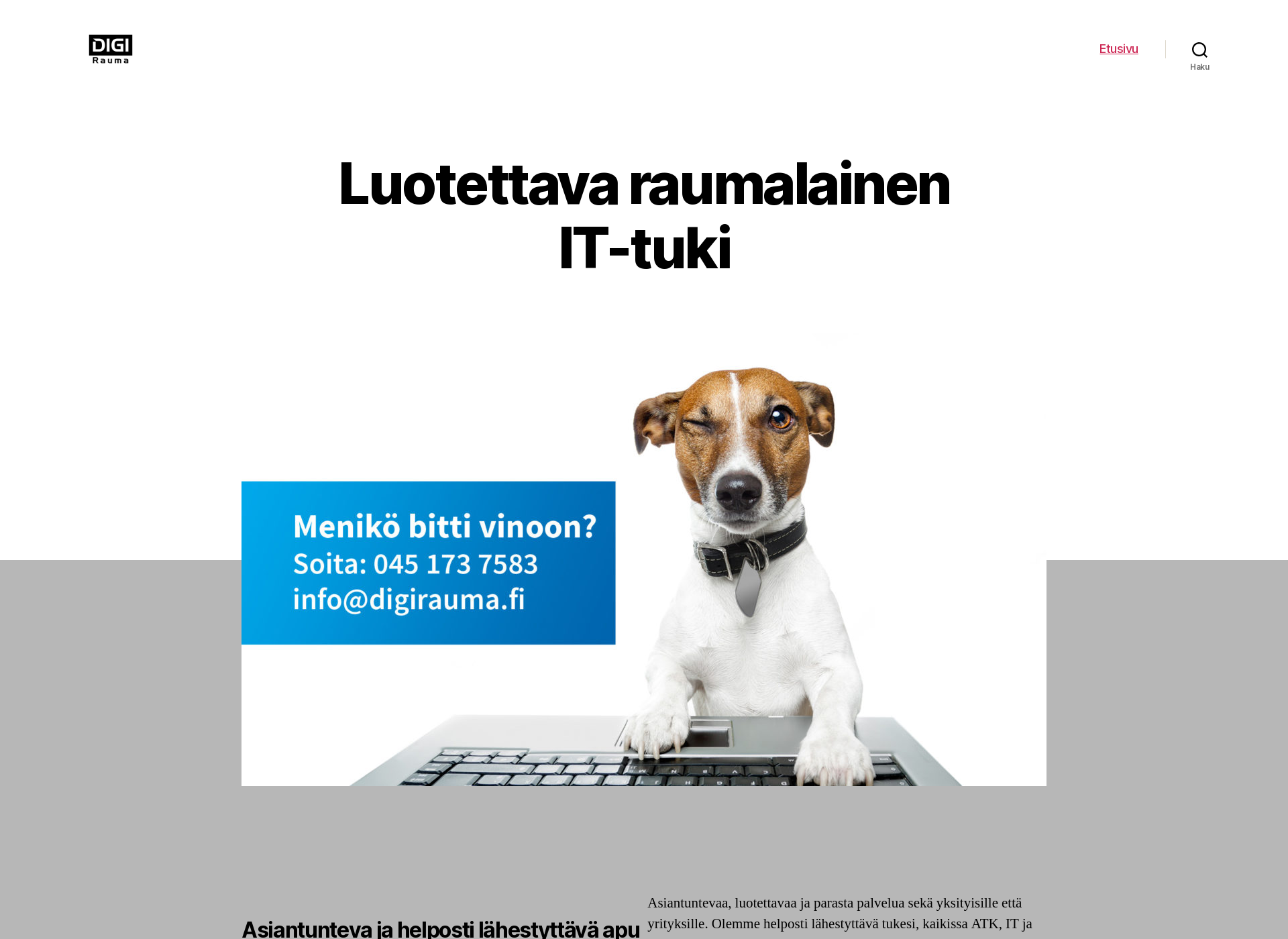 Skärmdump för digirauma.fi