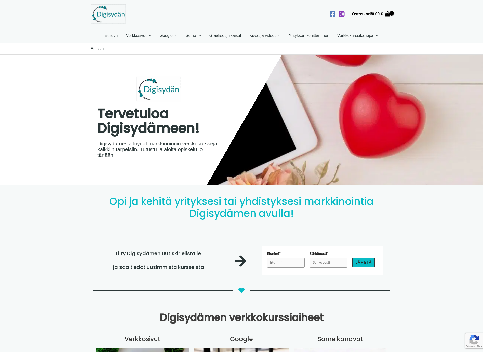 Screenshot for digisydan.fi