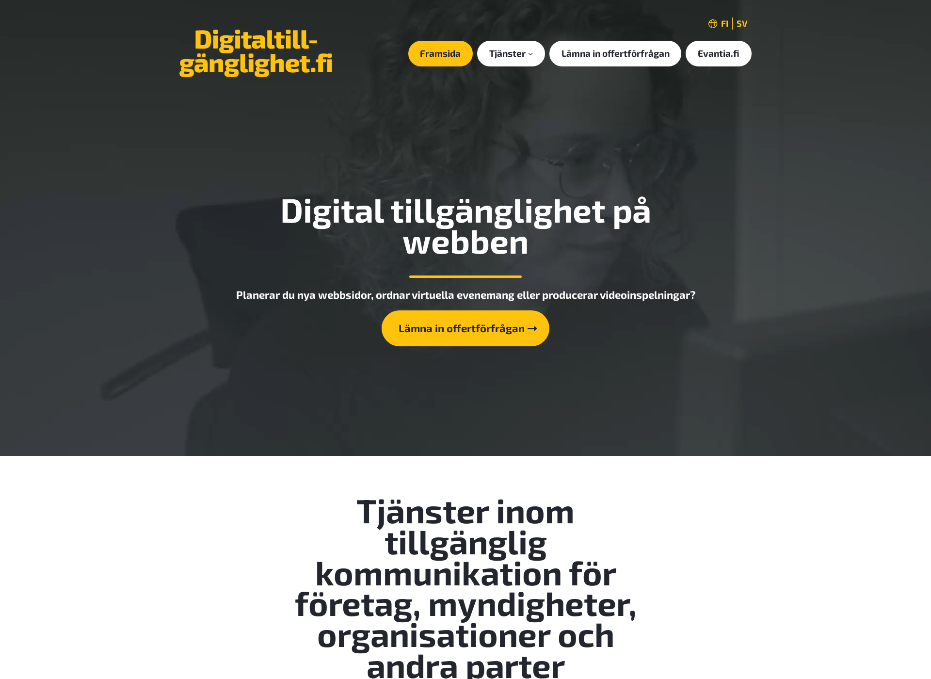 Näyttökuva digitaltillganglighet.fi
