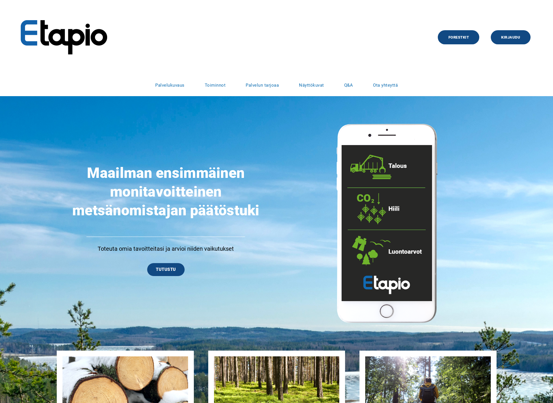 Screenshot for digitapio.fi