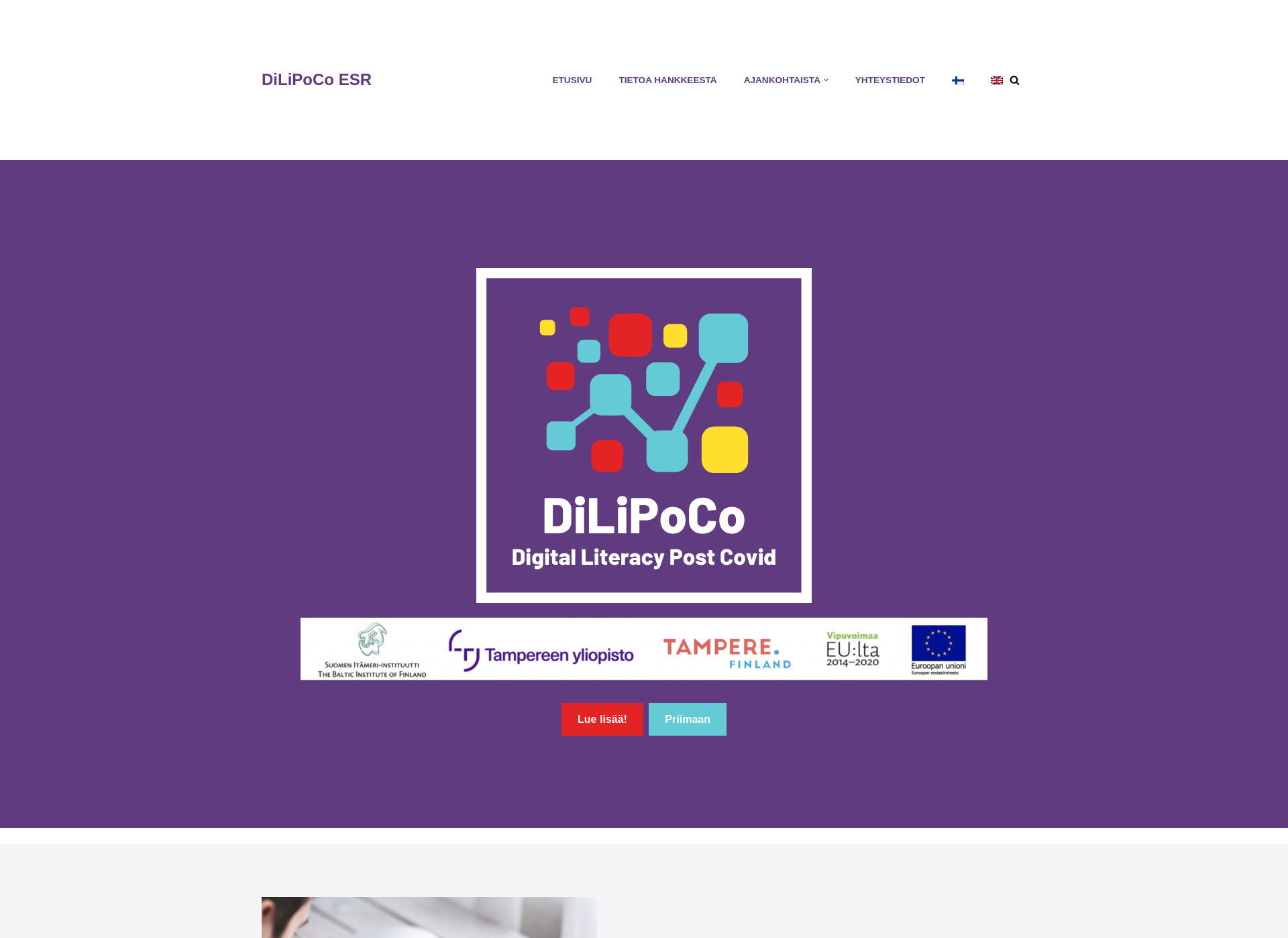 Screenshot for dilipoco.fi