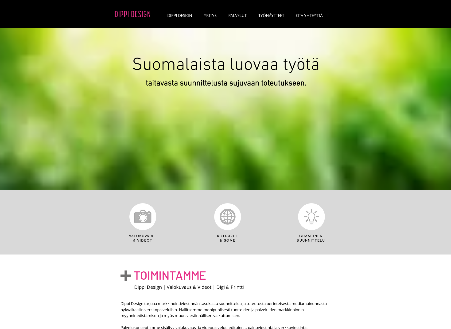 Screenshot for dippidesign.fi