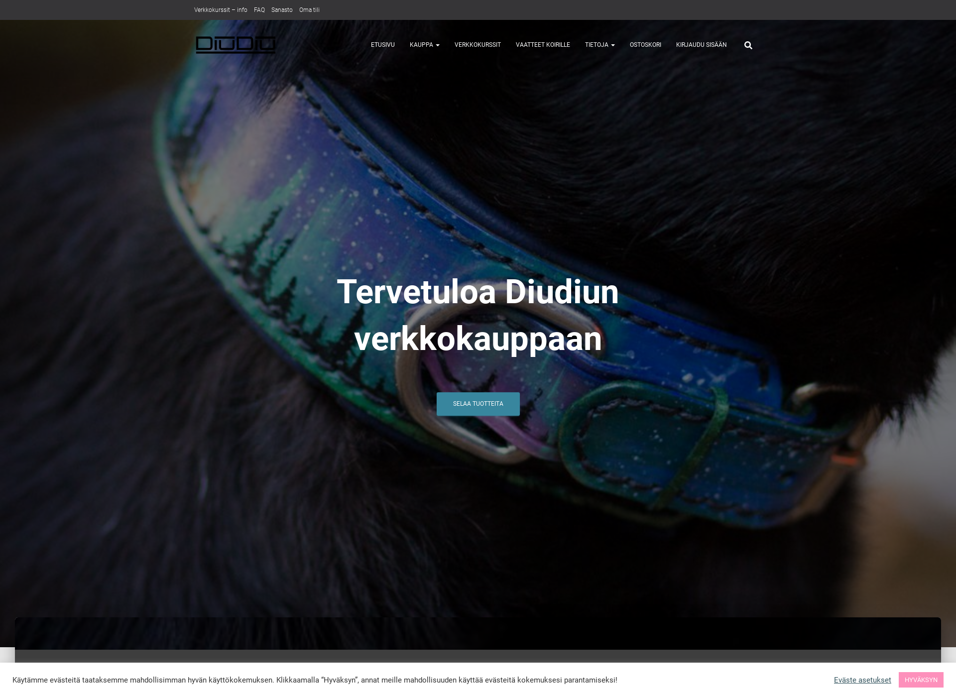 Screenshot for diudiu.fi