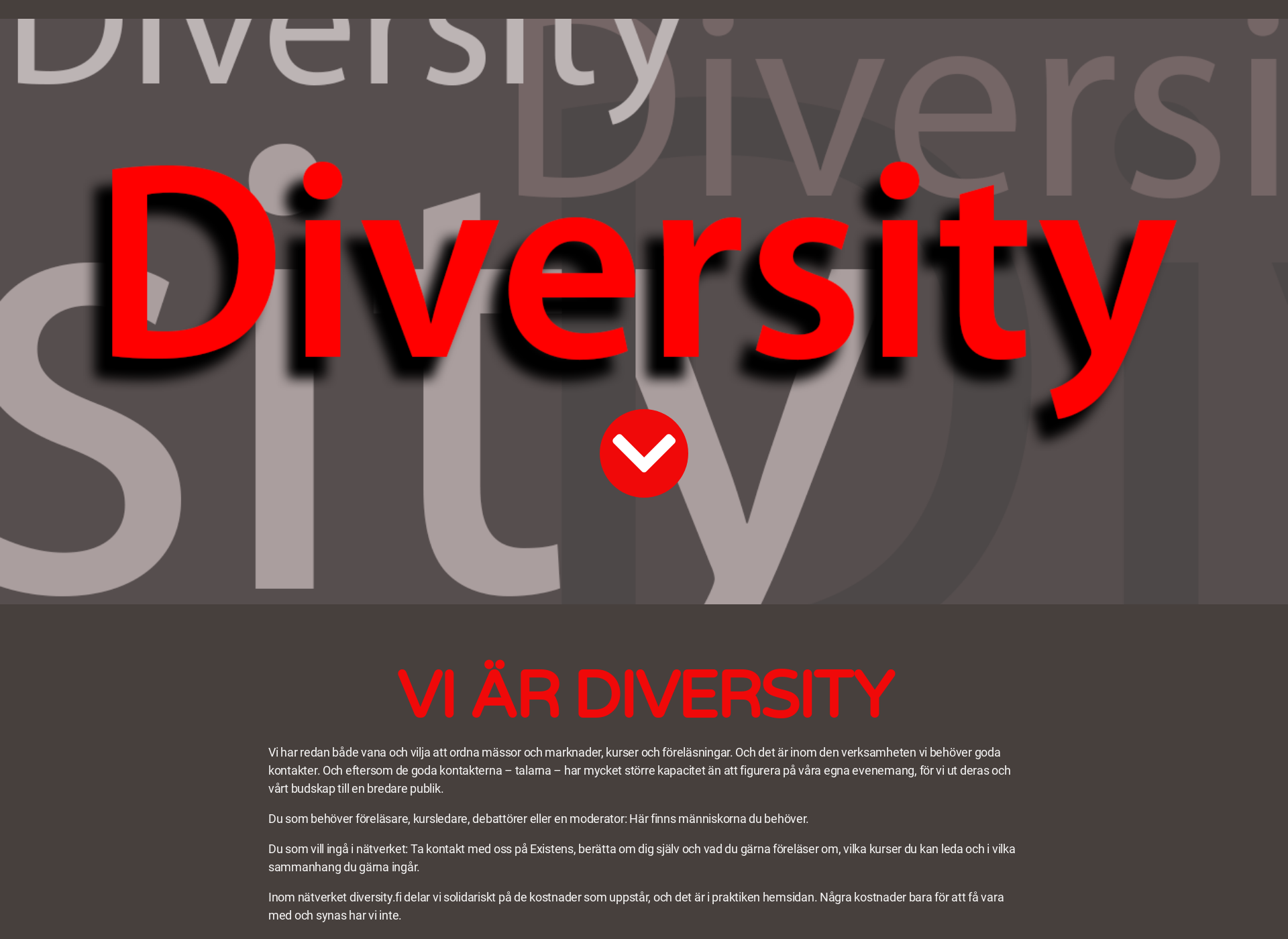 Screenshot for diversity.fi