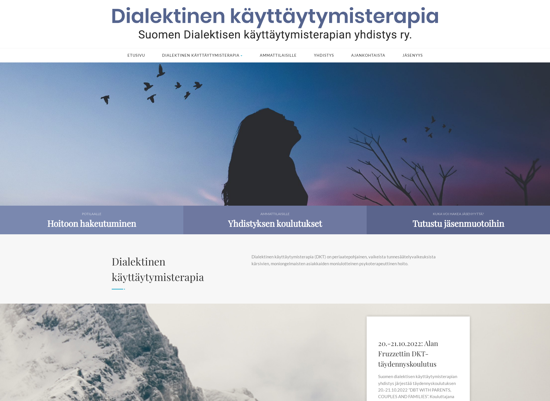 Skärmdump för dkt-yhdistys.fi