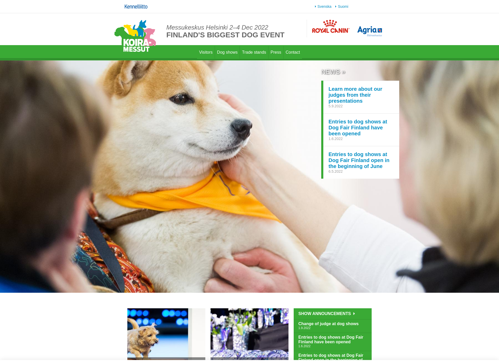 Screenshot for dogfair.fi