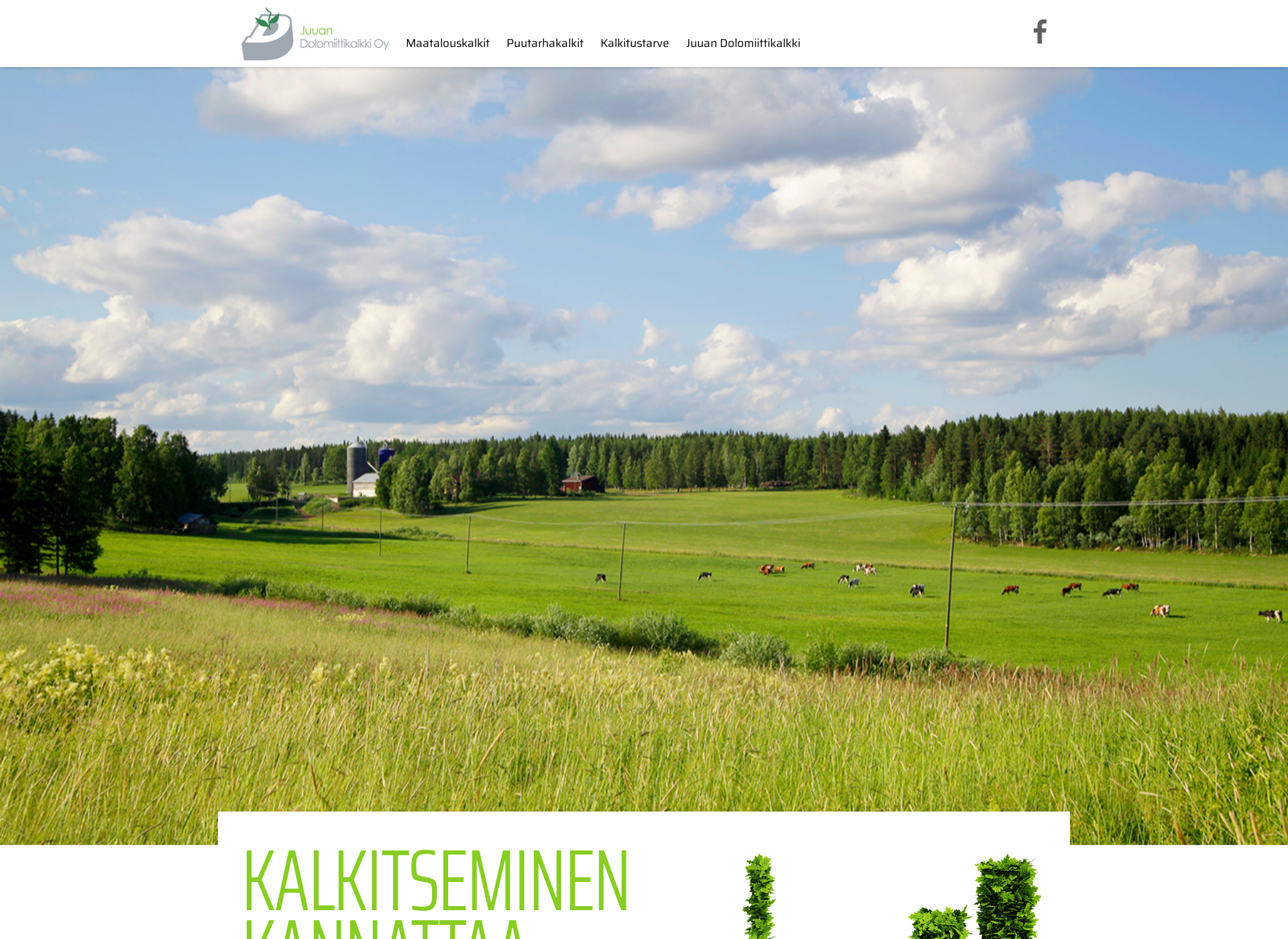 Screenshot for dolomiittikalkki.fi