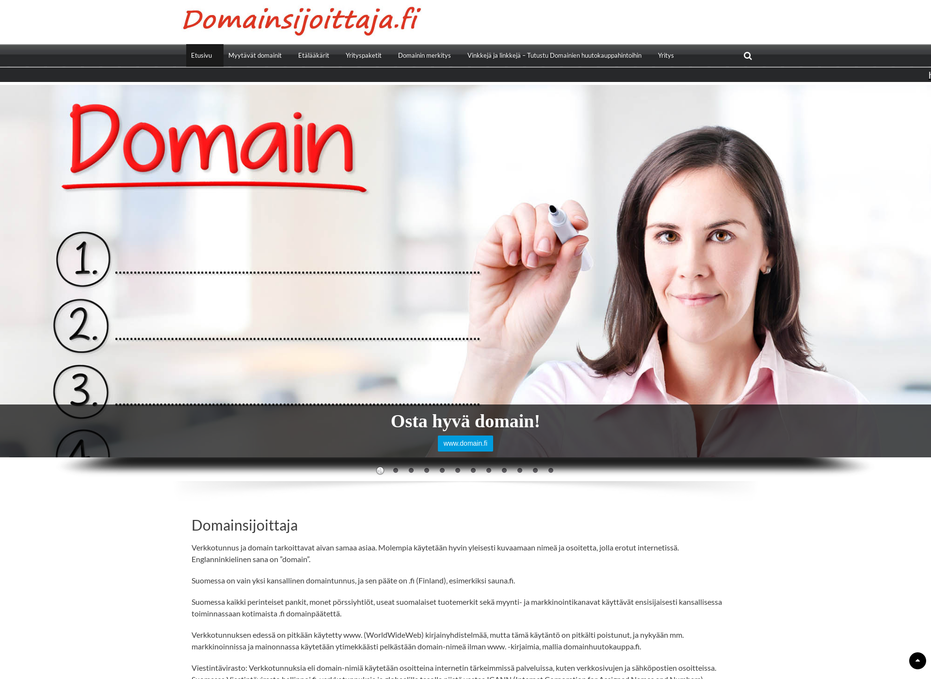 Screenshot for domainsijoittaja.fi
