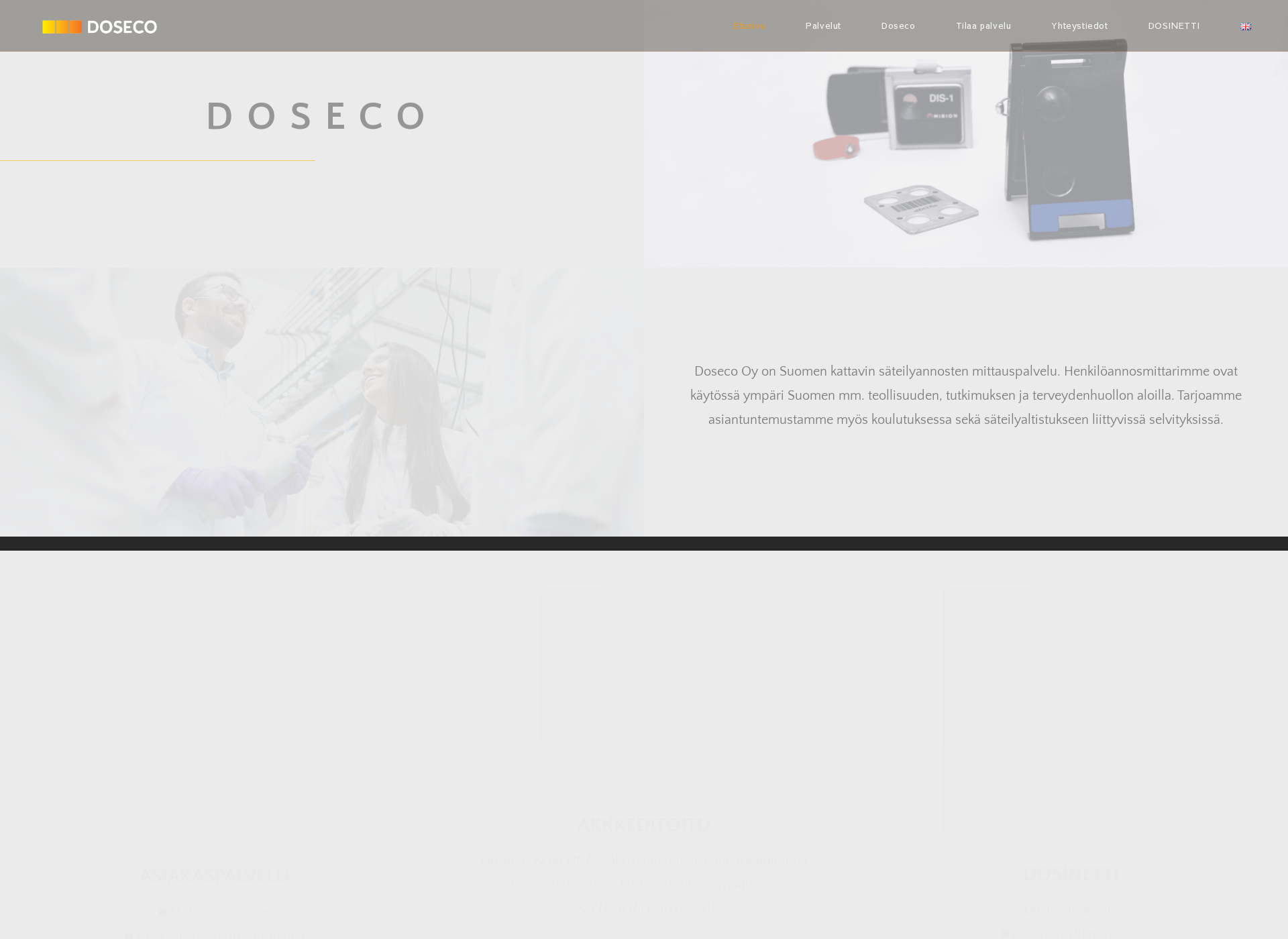 Screenshot for doseco.fi