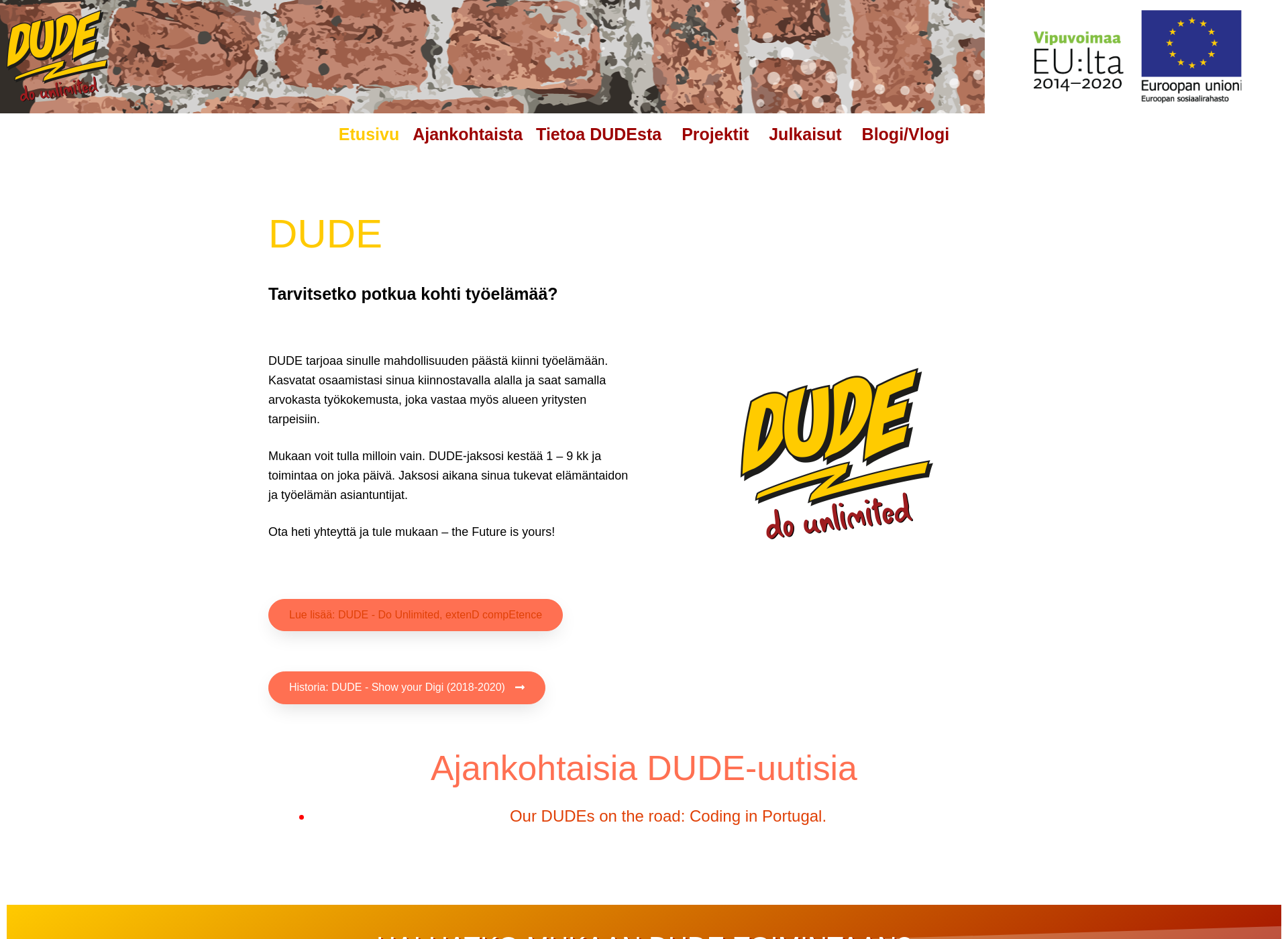 Screenshot for dudeshowyourdigi.fi