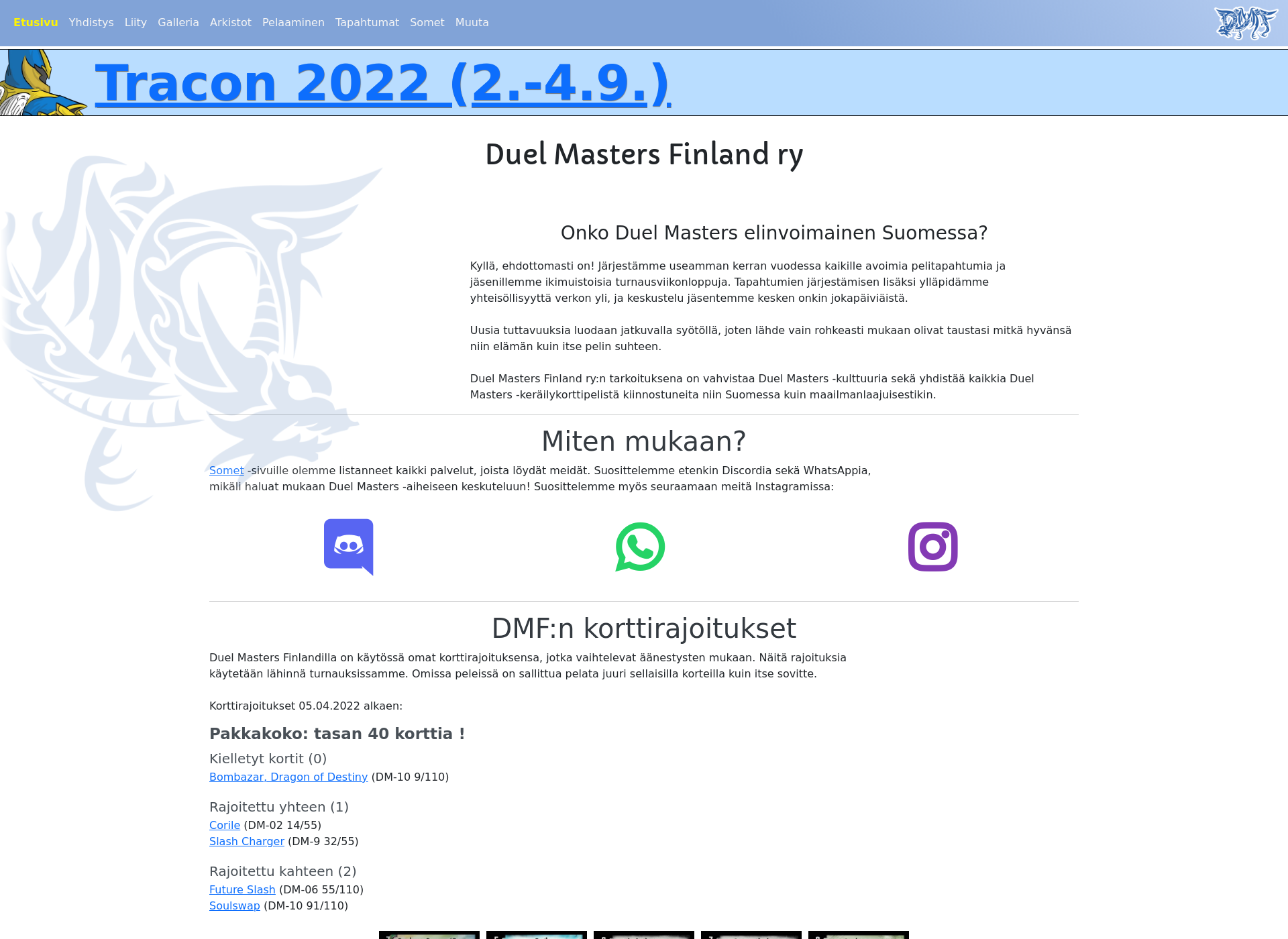 Skärmdump för duelmasters.fi
