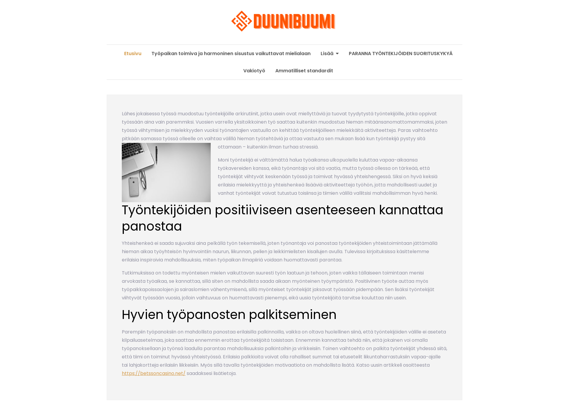 Skärmdump för duunibuumi.fi